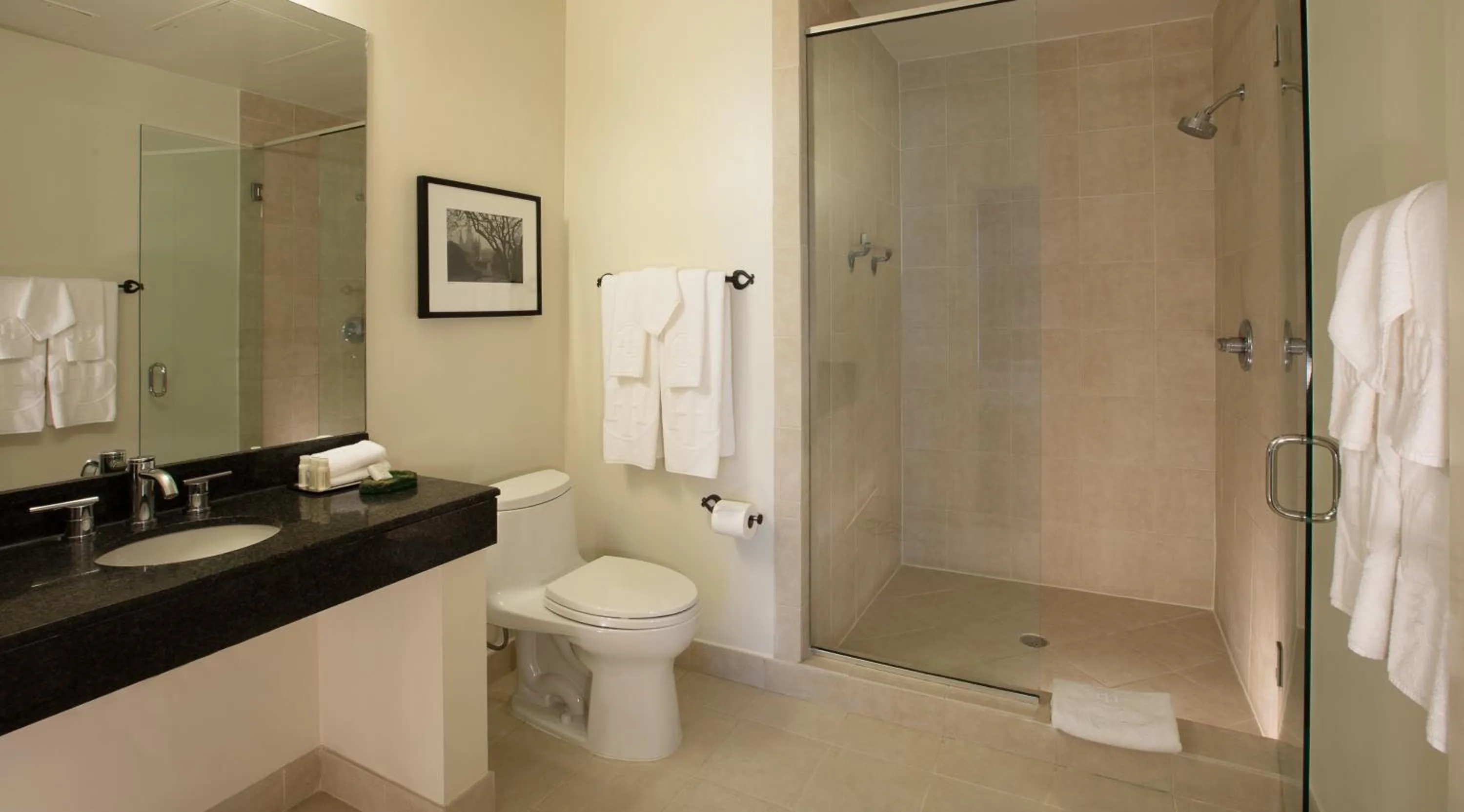 Shower in International House Hotel