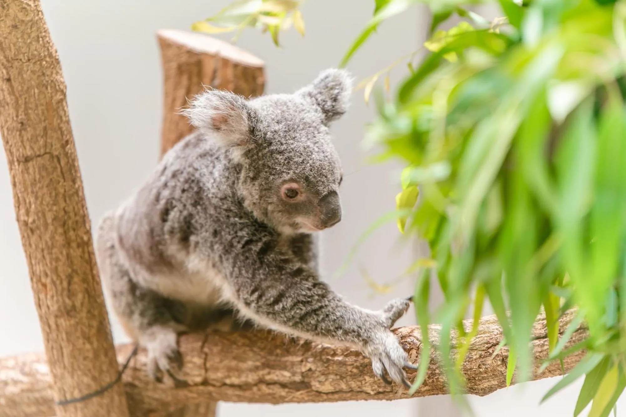 Nearby landmark in Sun Hotel Kokubu Kagoshima