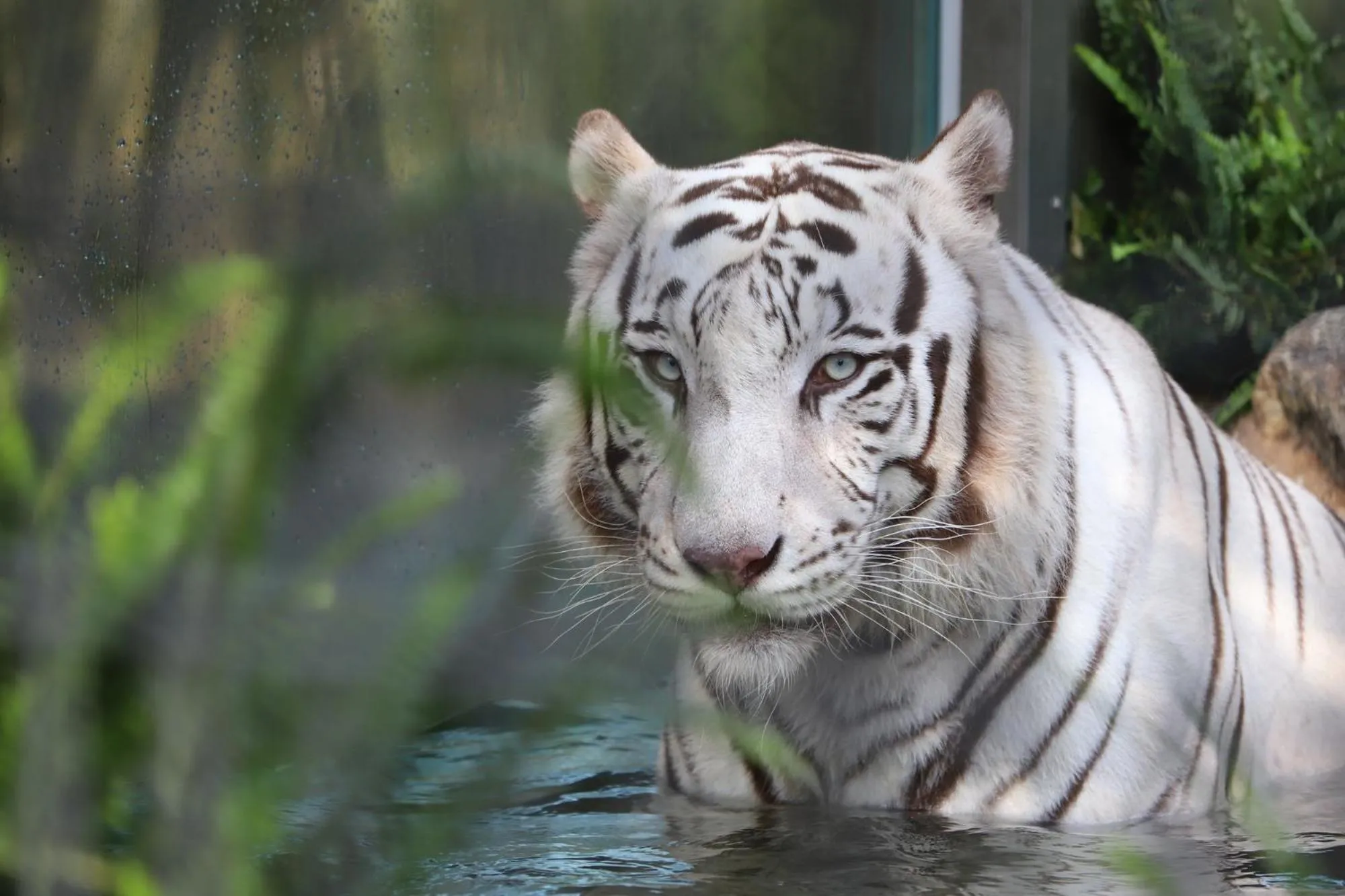 Nearby landmark in Sun Hotel Kokubu Kagoshima