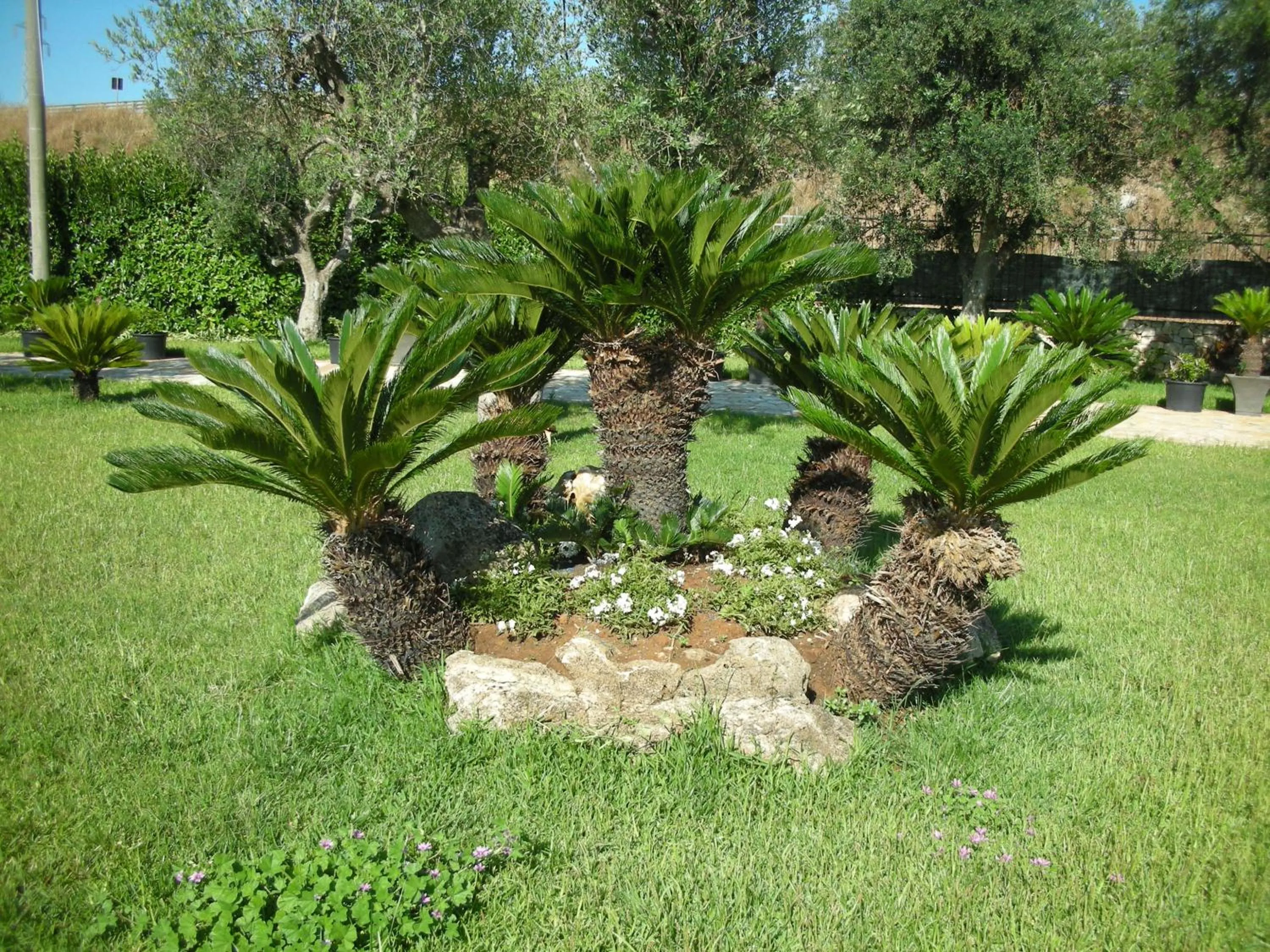 Decorative detail in Ferrocino Resort