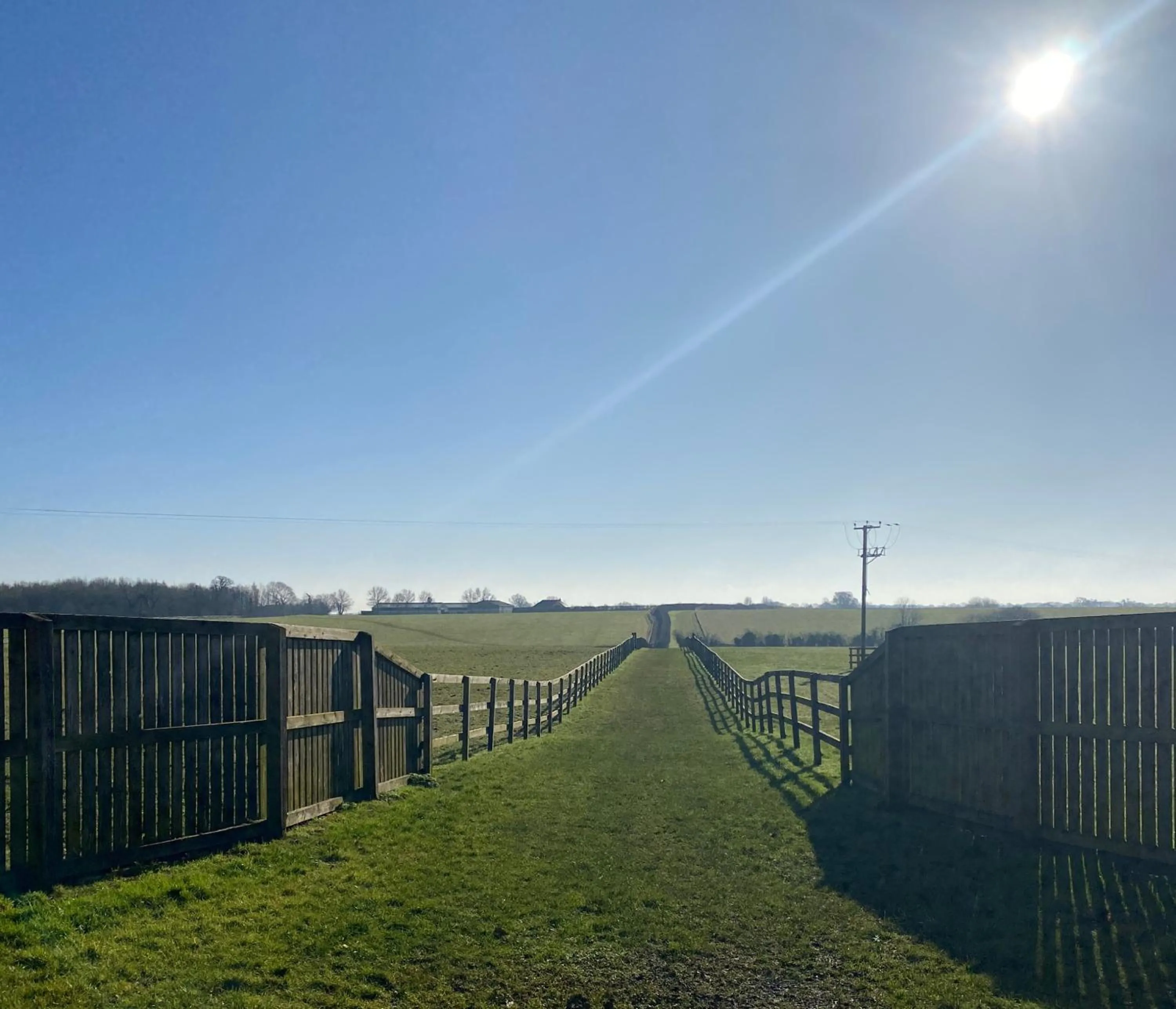 Natural landscape in Pettifers Freehouse Hotel