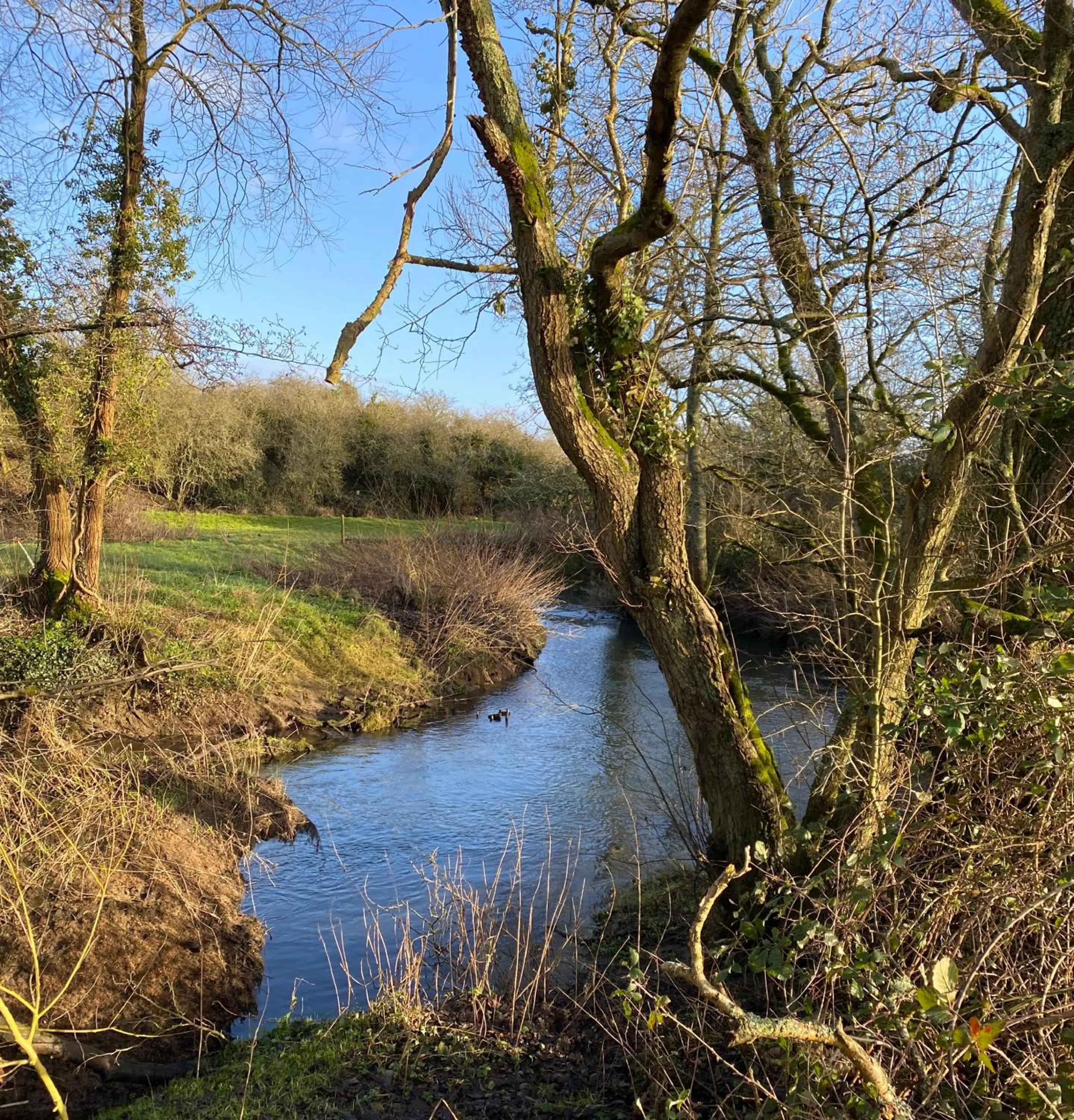Lake view in Pettifers Freehouse Hotel