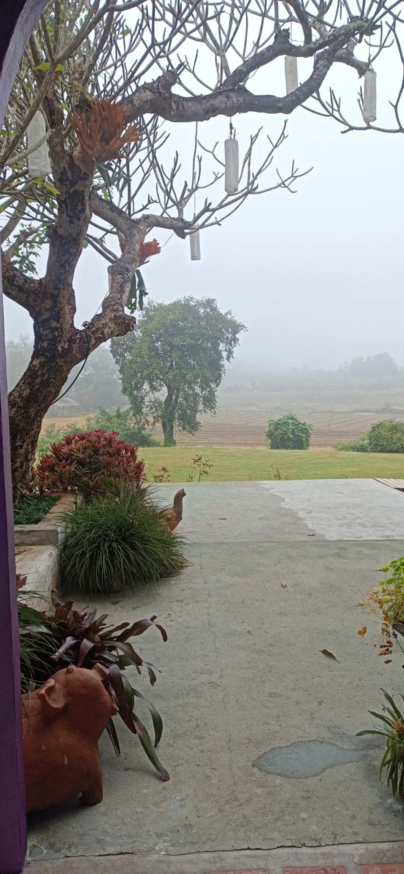 KuadKhonThoe Pai Cottage