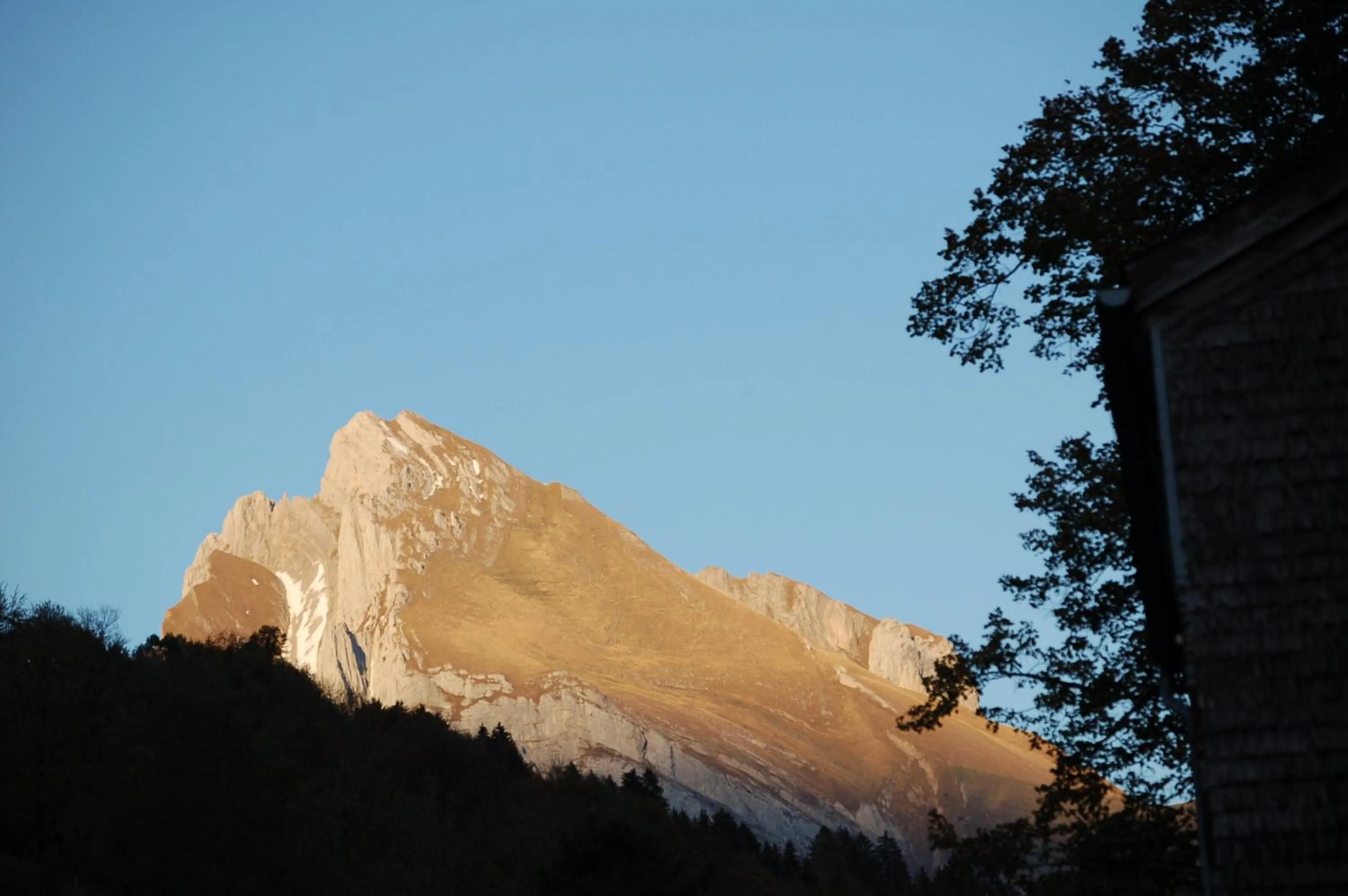 Natural landscape in Gasthaus Schäfli