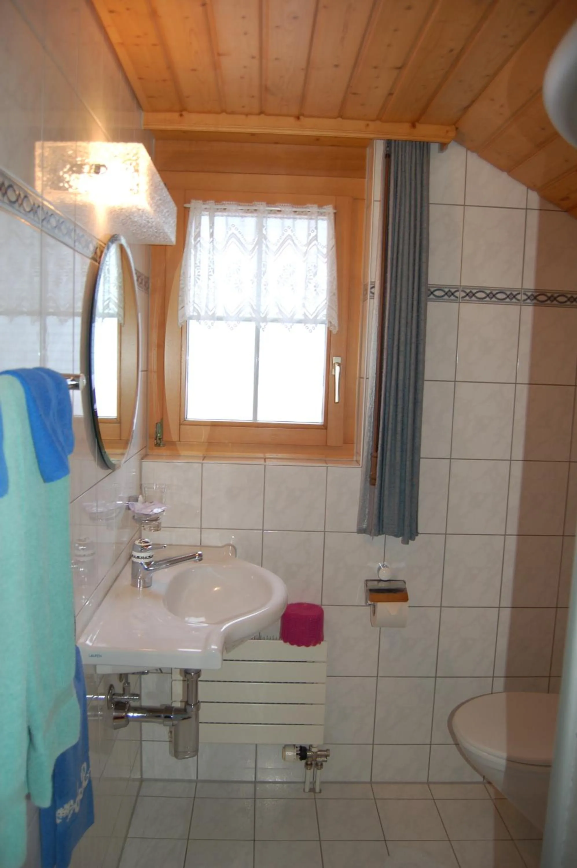 Toilet in Gasthaus Schäfli