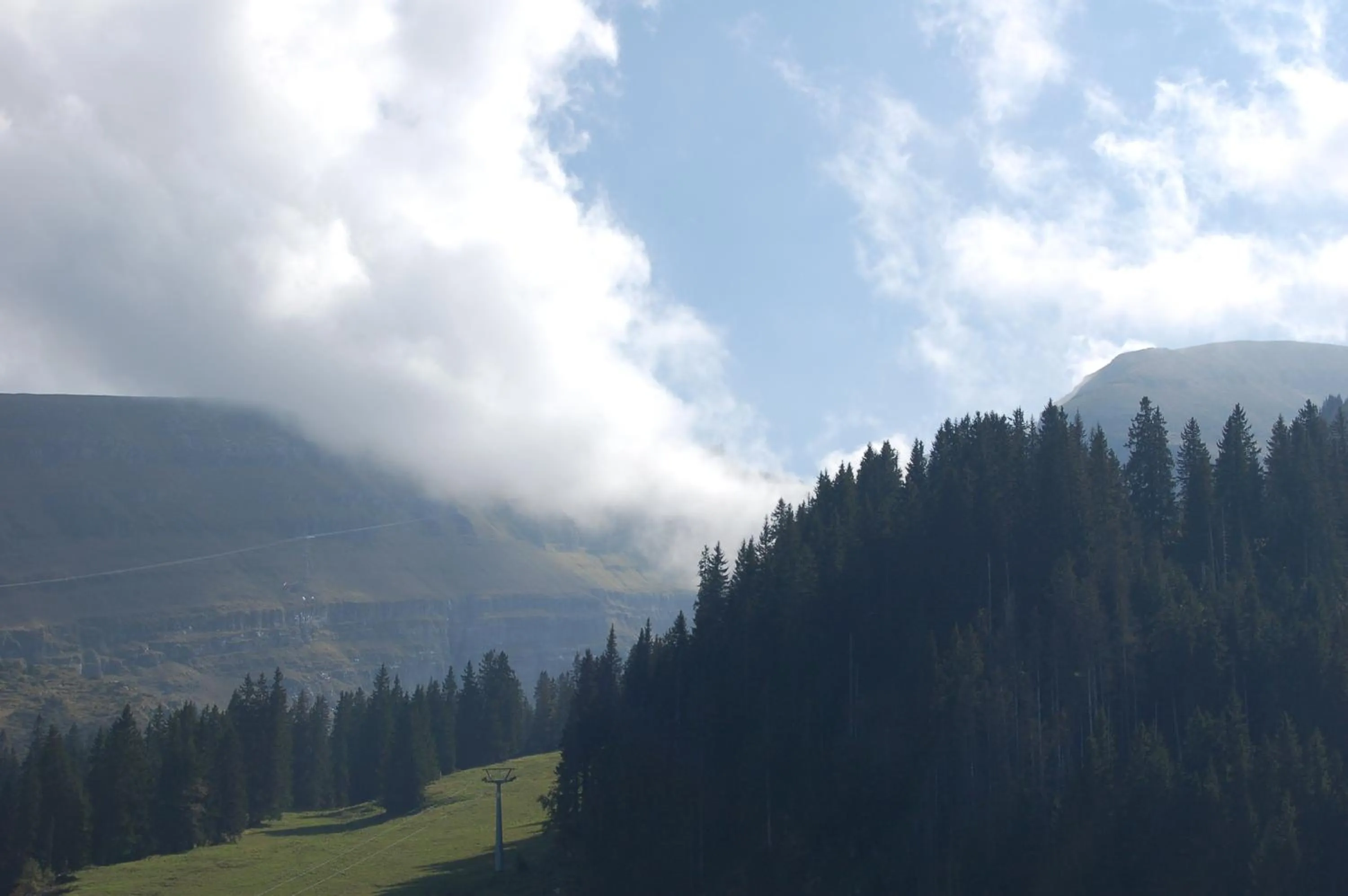 Natural landscape in Gasthaus Schäfli
