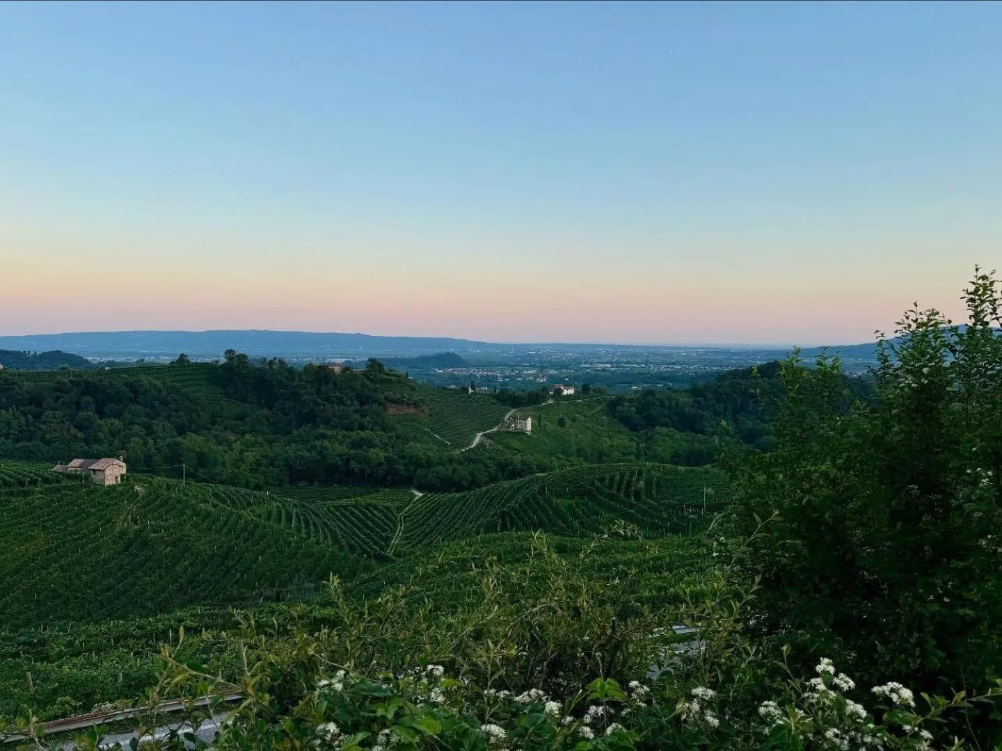 View (from property/room) in Boutique Hotel Municipio 1815