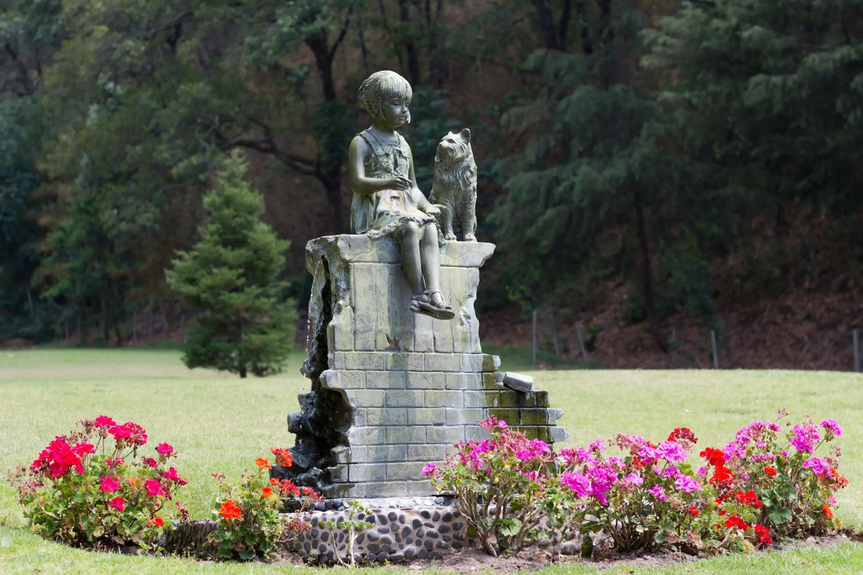 Garden in Sierra Lago