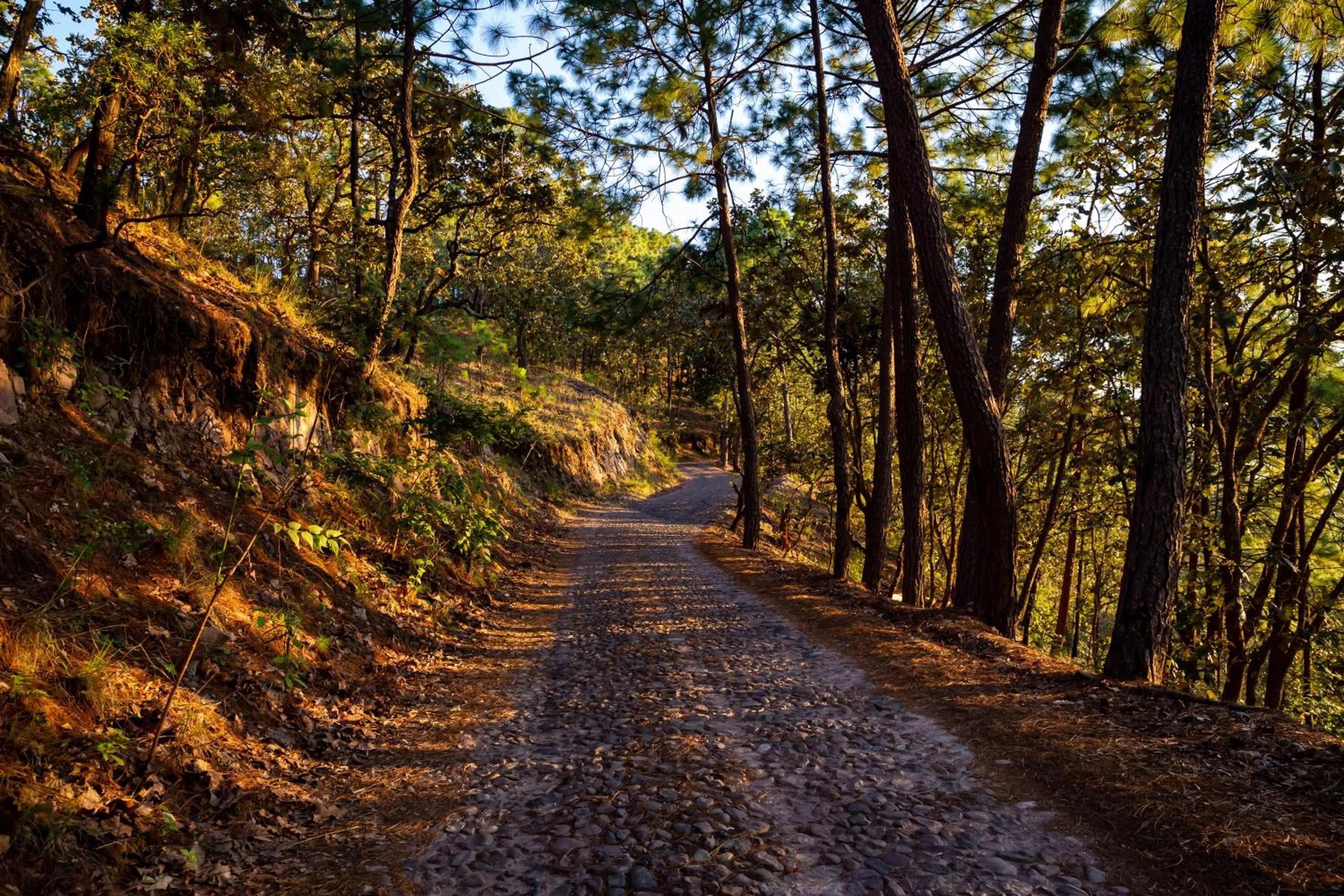 Natural landscape in Sierra Lago
