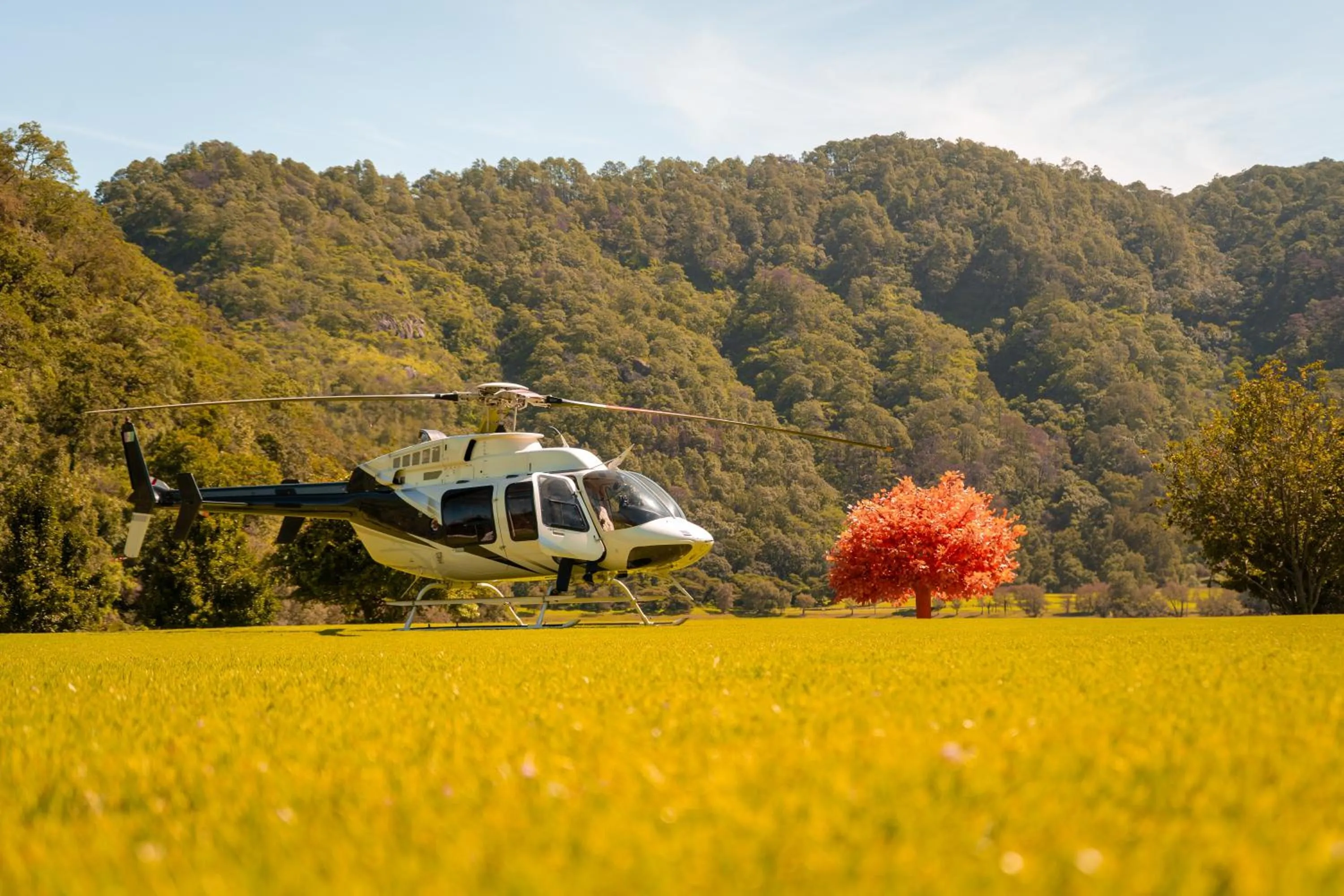 Natural landscape in Sierra Lago