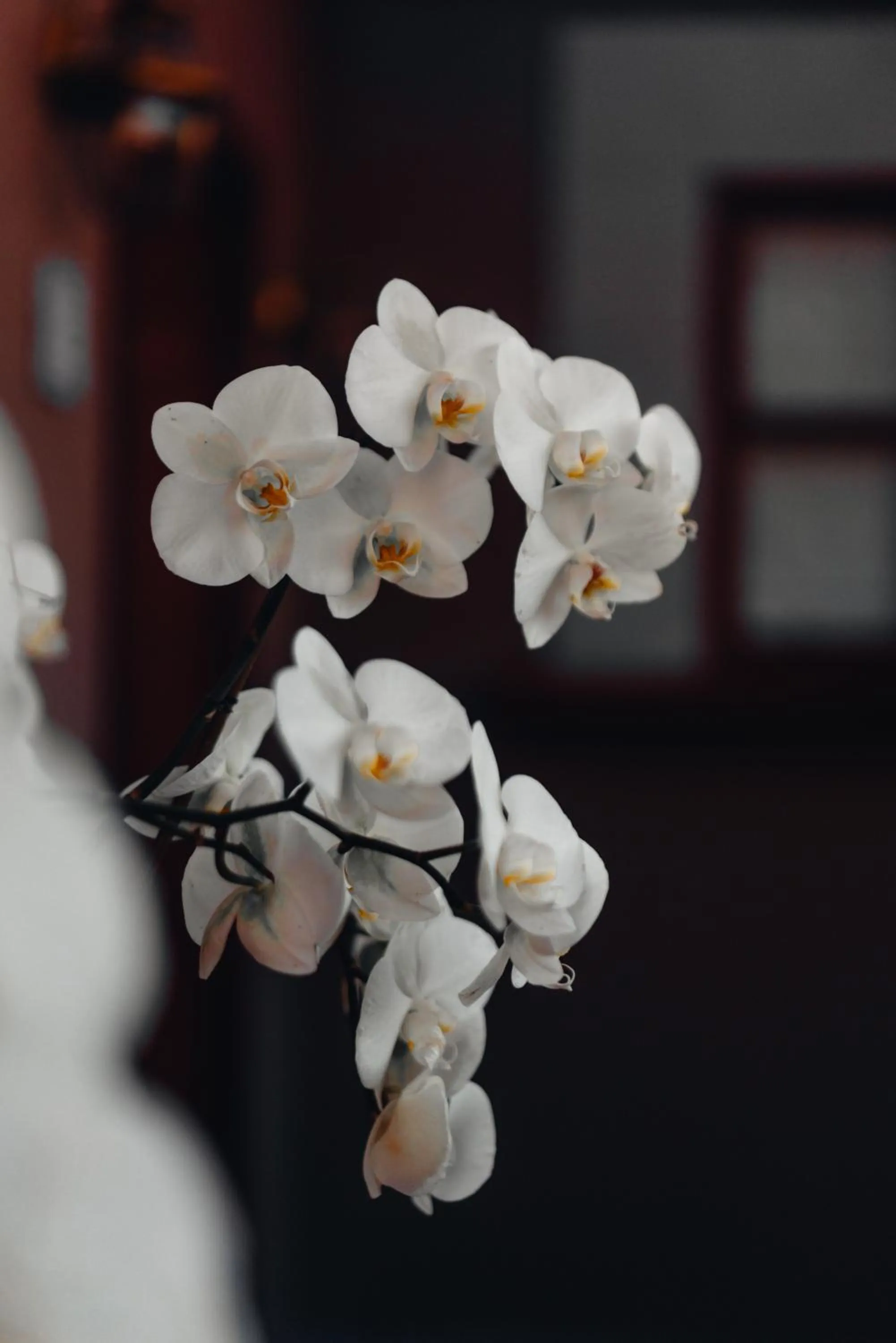 Living room in Antiguo Molino de San Jerónimo