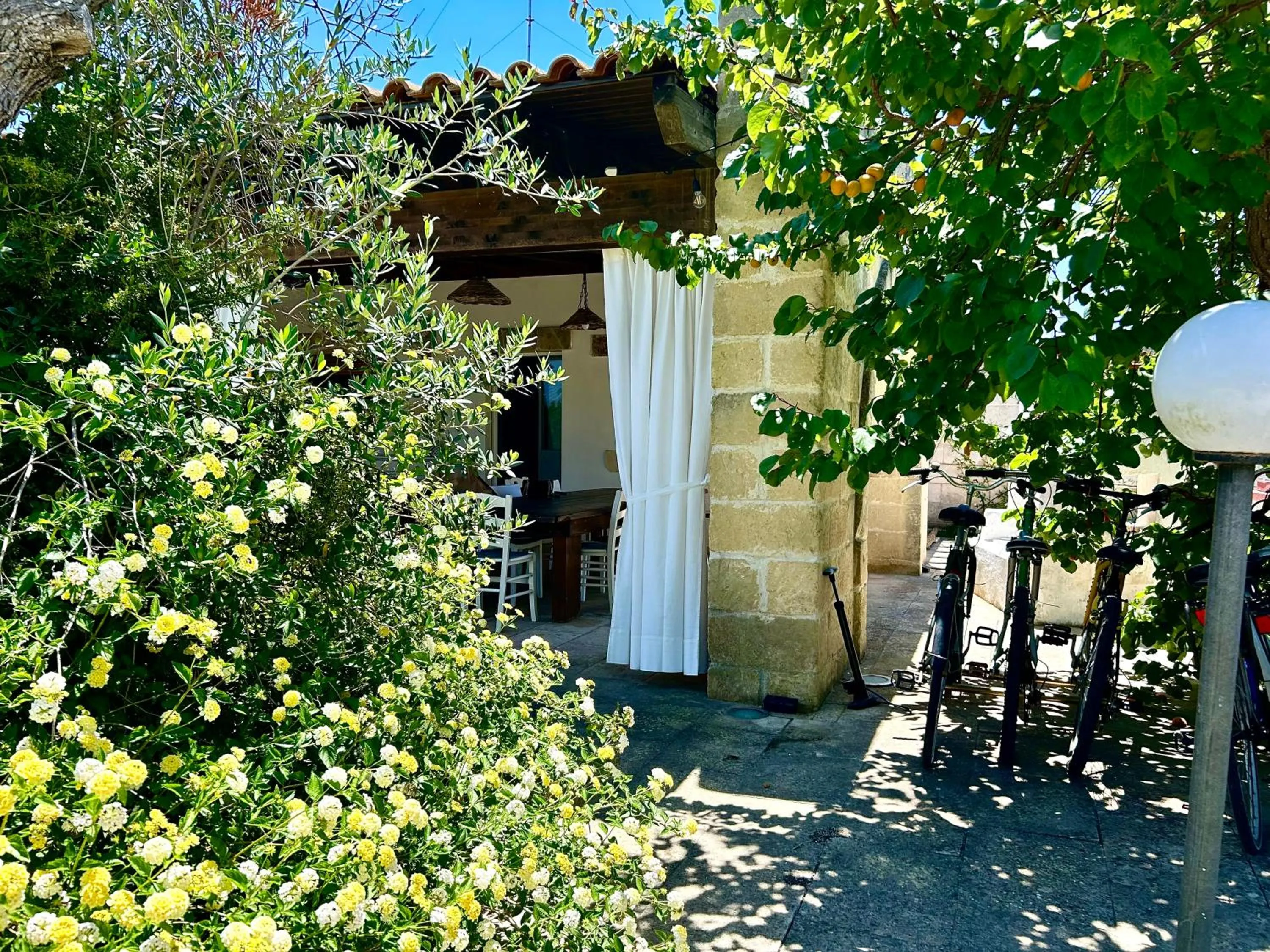Garden in Villa Delfino
