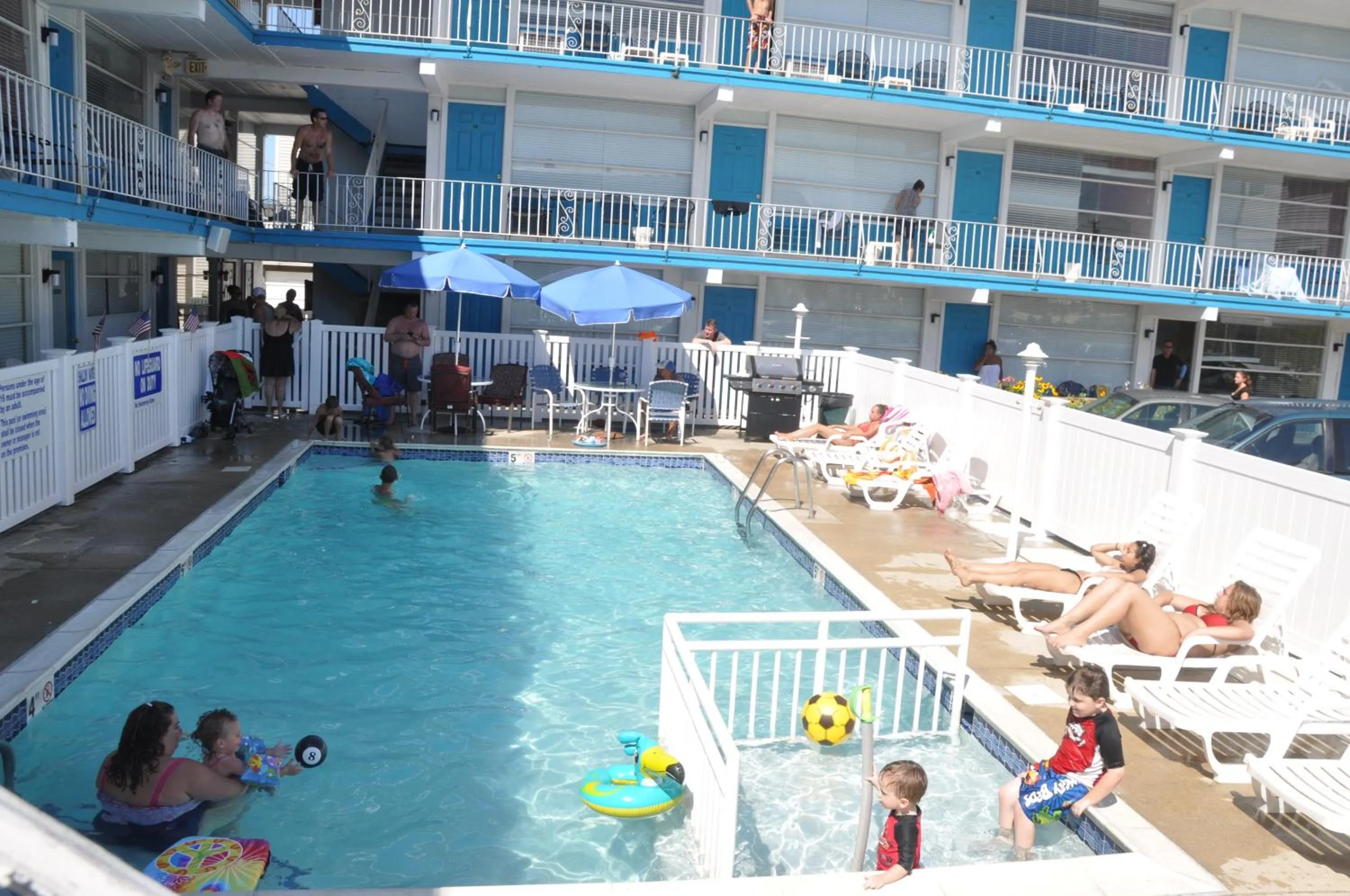 Day in Bird of Paradise Motel