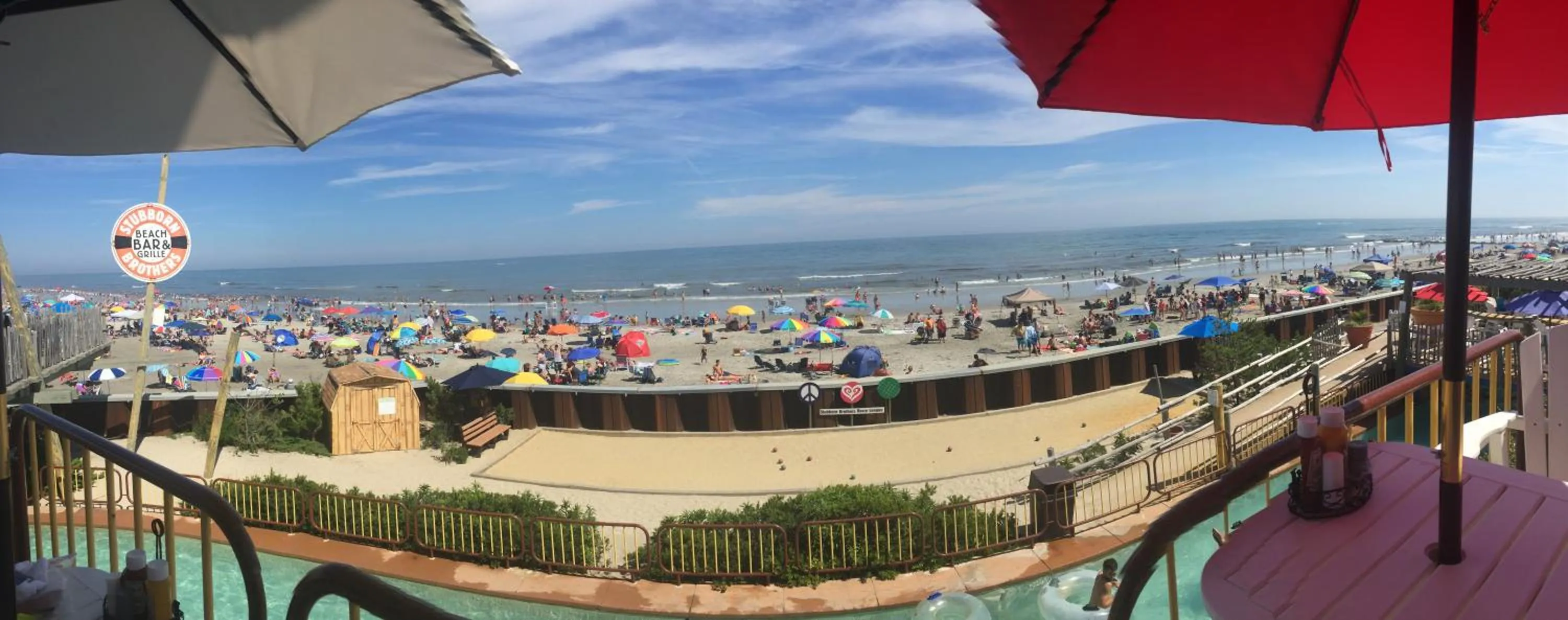 Day in Bird of Paradise Motel