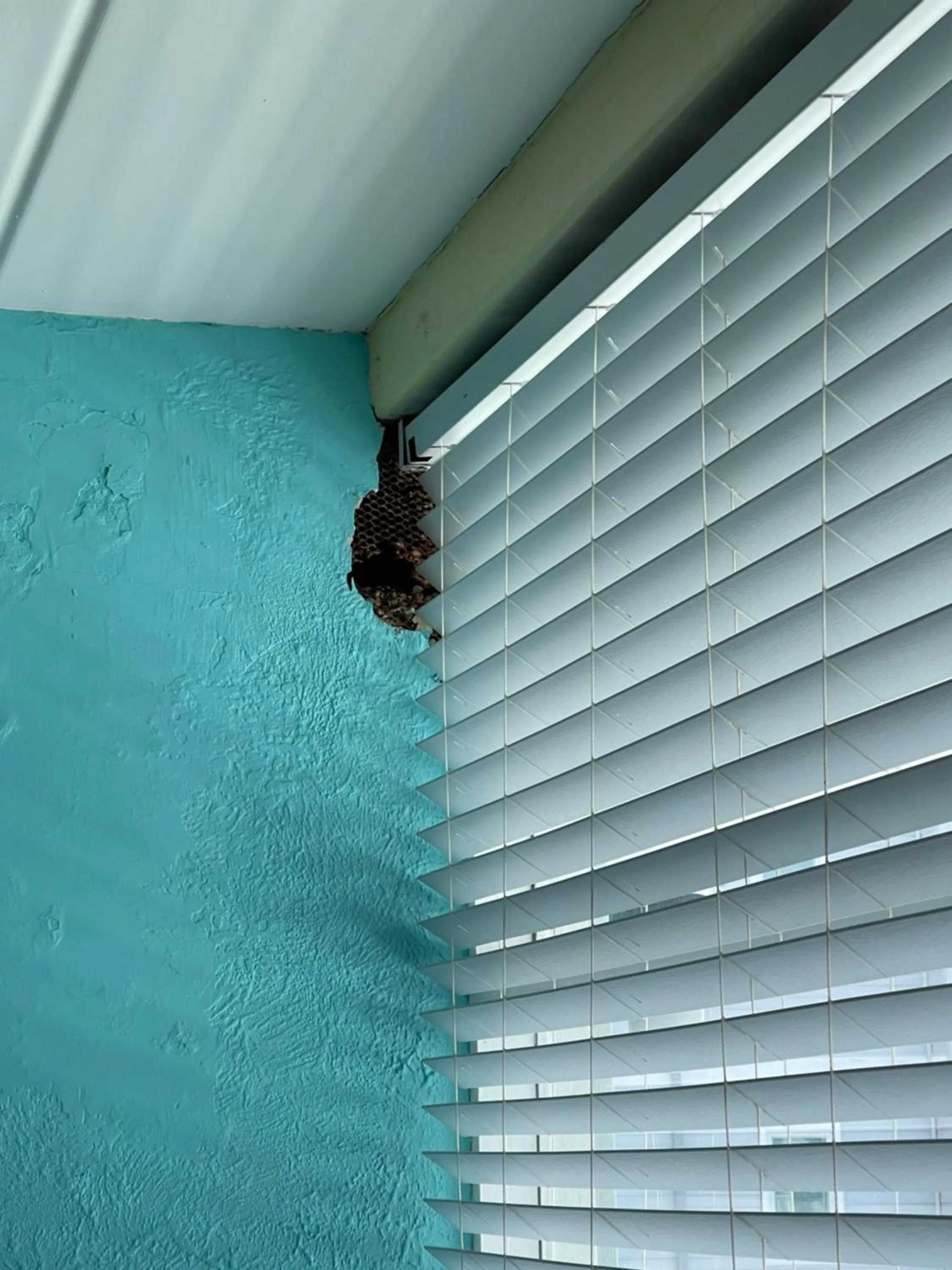 Bird of Paradise Motel