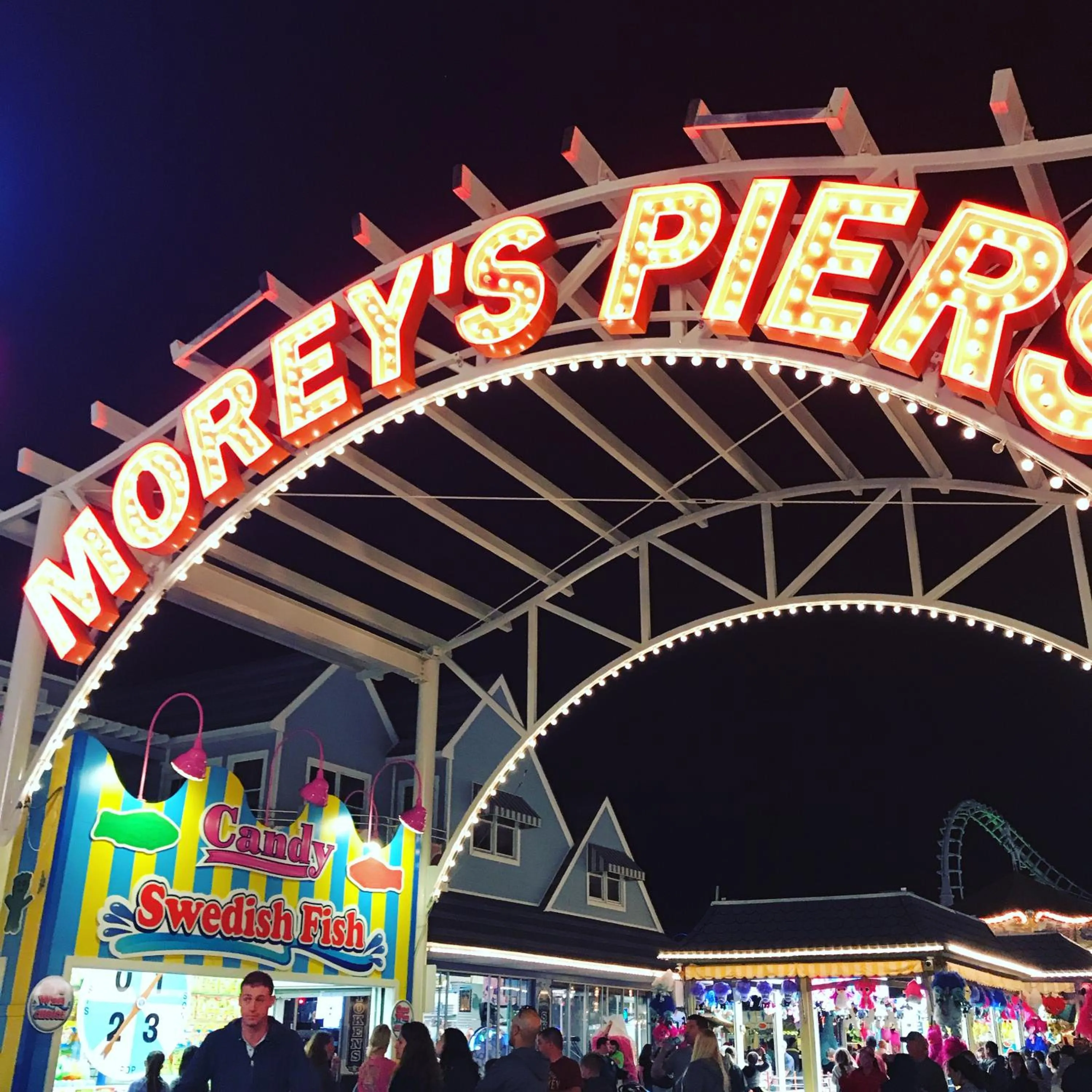 Bird of Paradise Motel