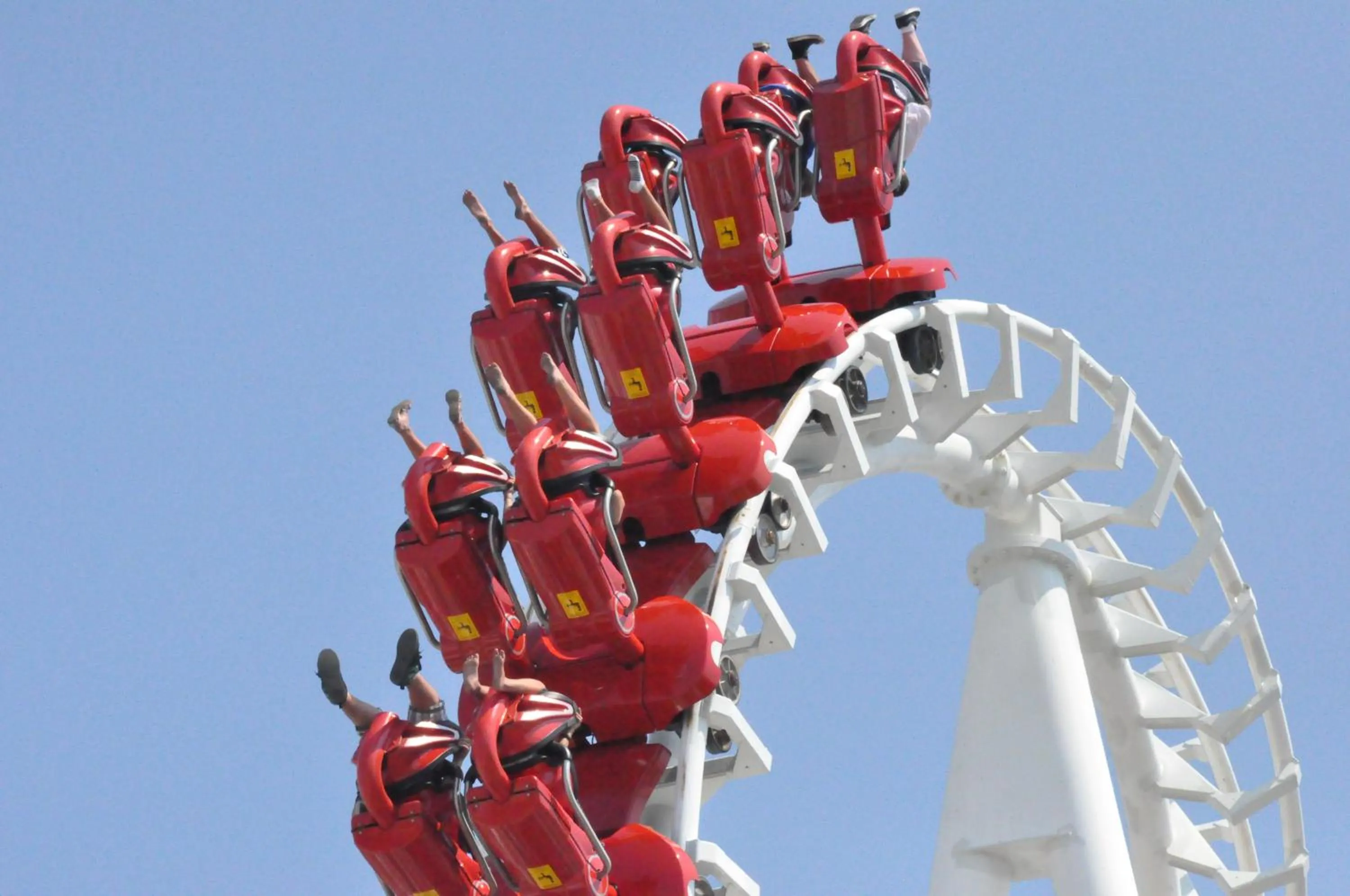 Bird of Paradise Motel