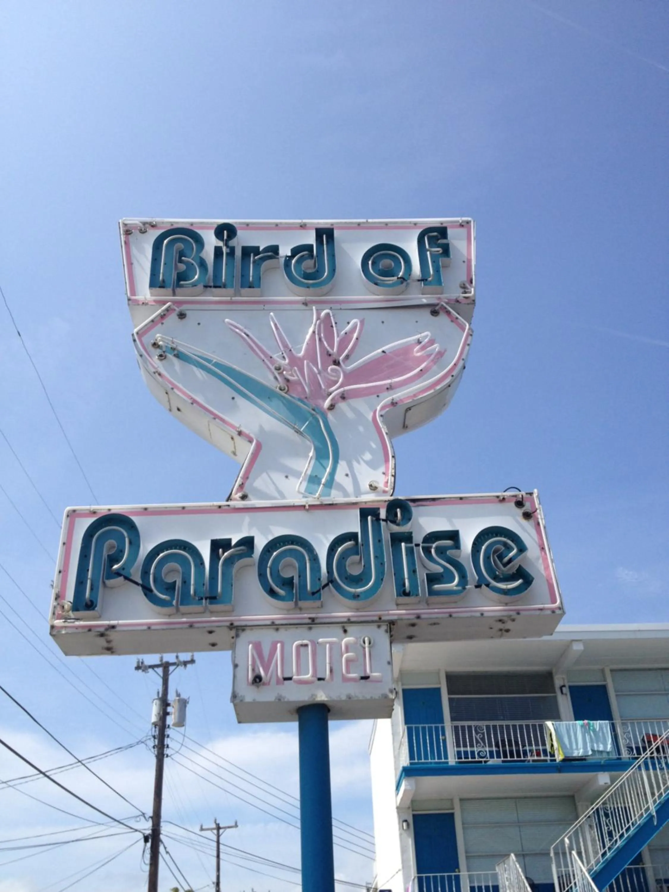 Property logo or sign in Bird of Paradise Motel