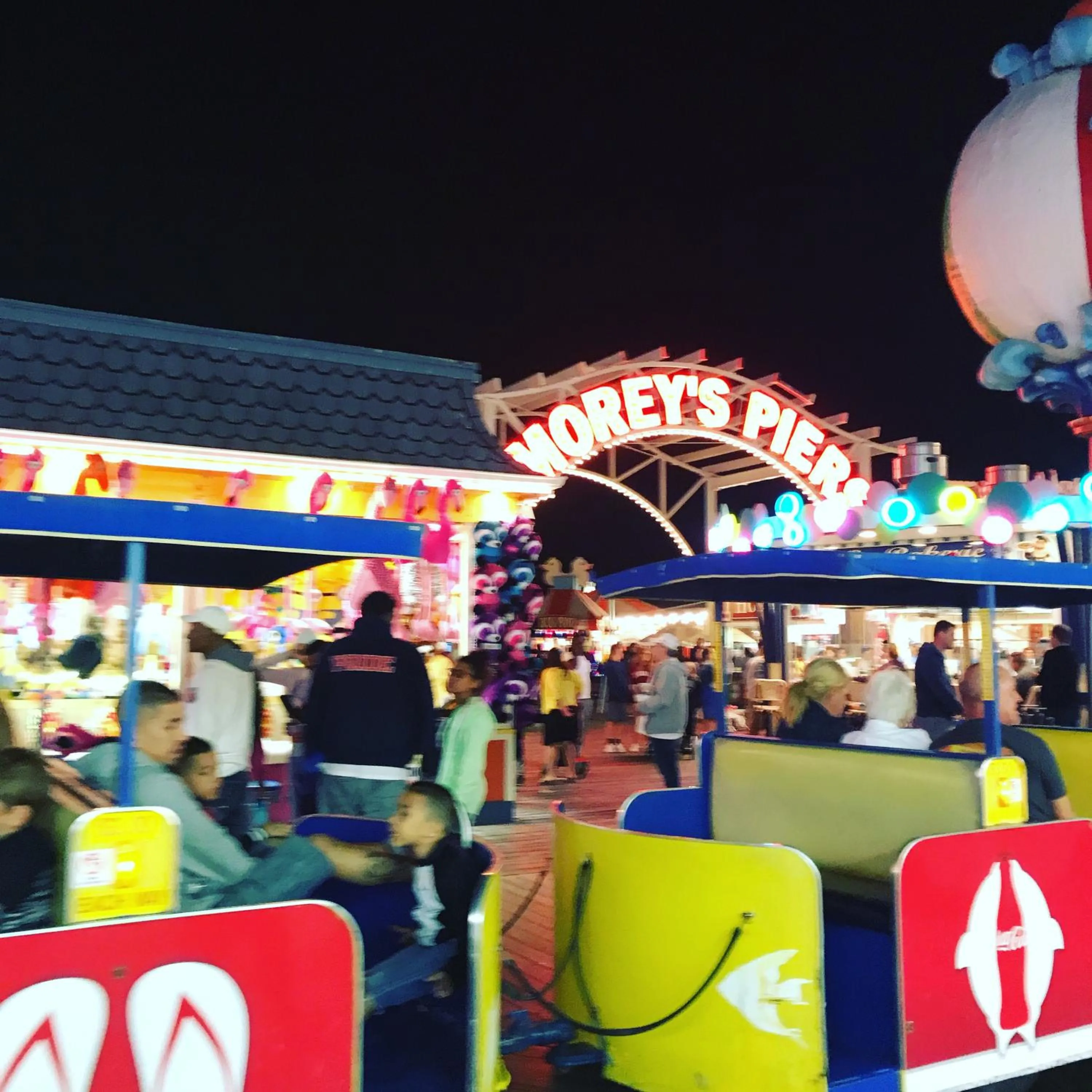 Bird of Paradise Motel