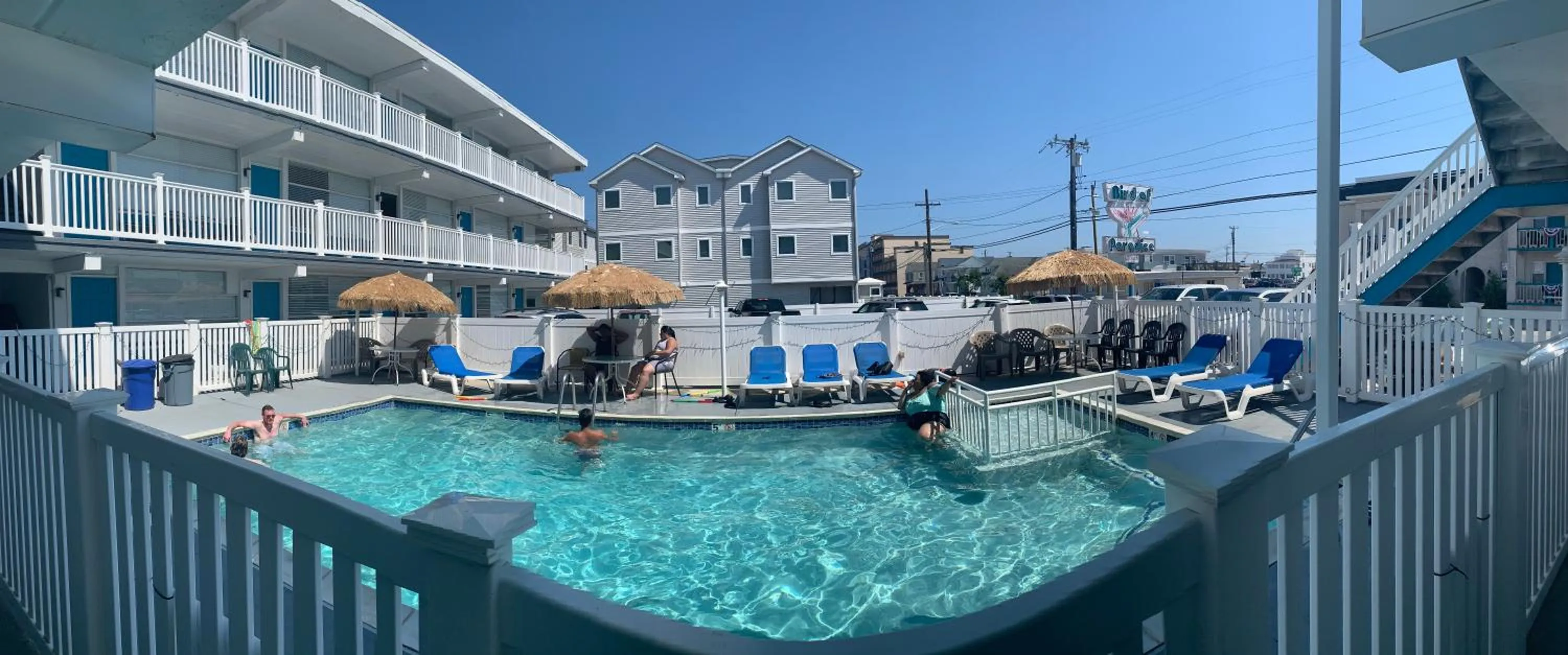 Swimming pool in Bird of Paradise Motel