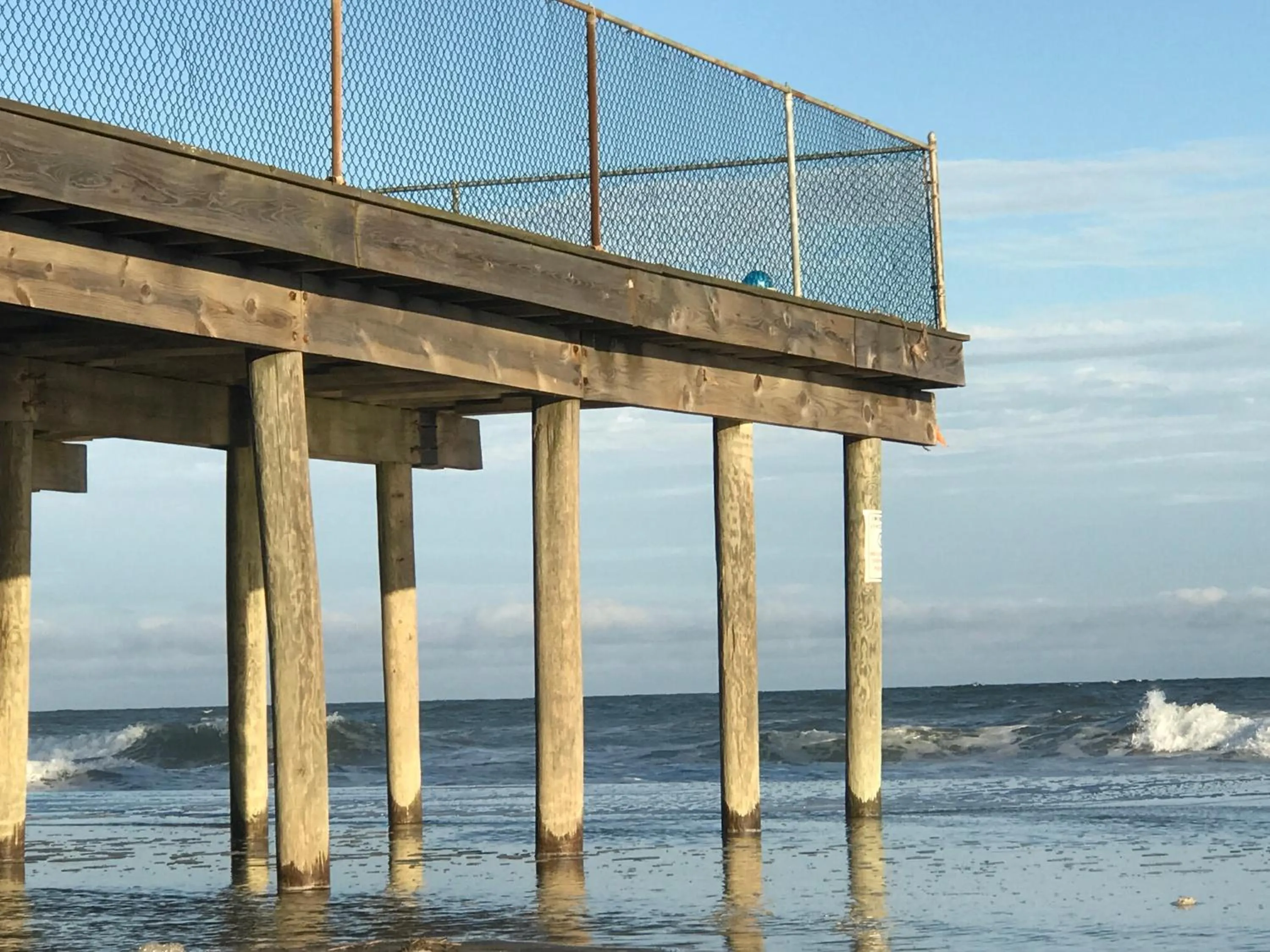 Beach in Bird of Paradise Motel