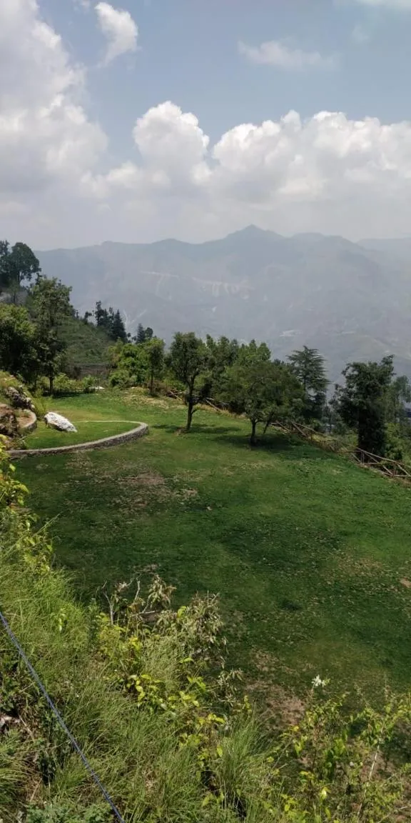 Garden in The Mountain Quail