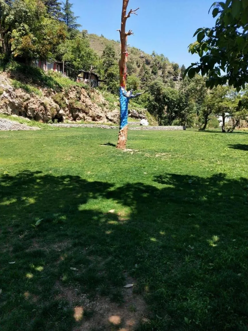 Garden in The Mountain Quail