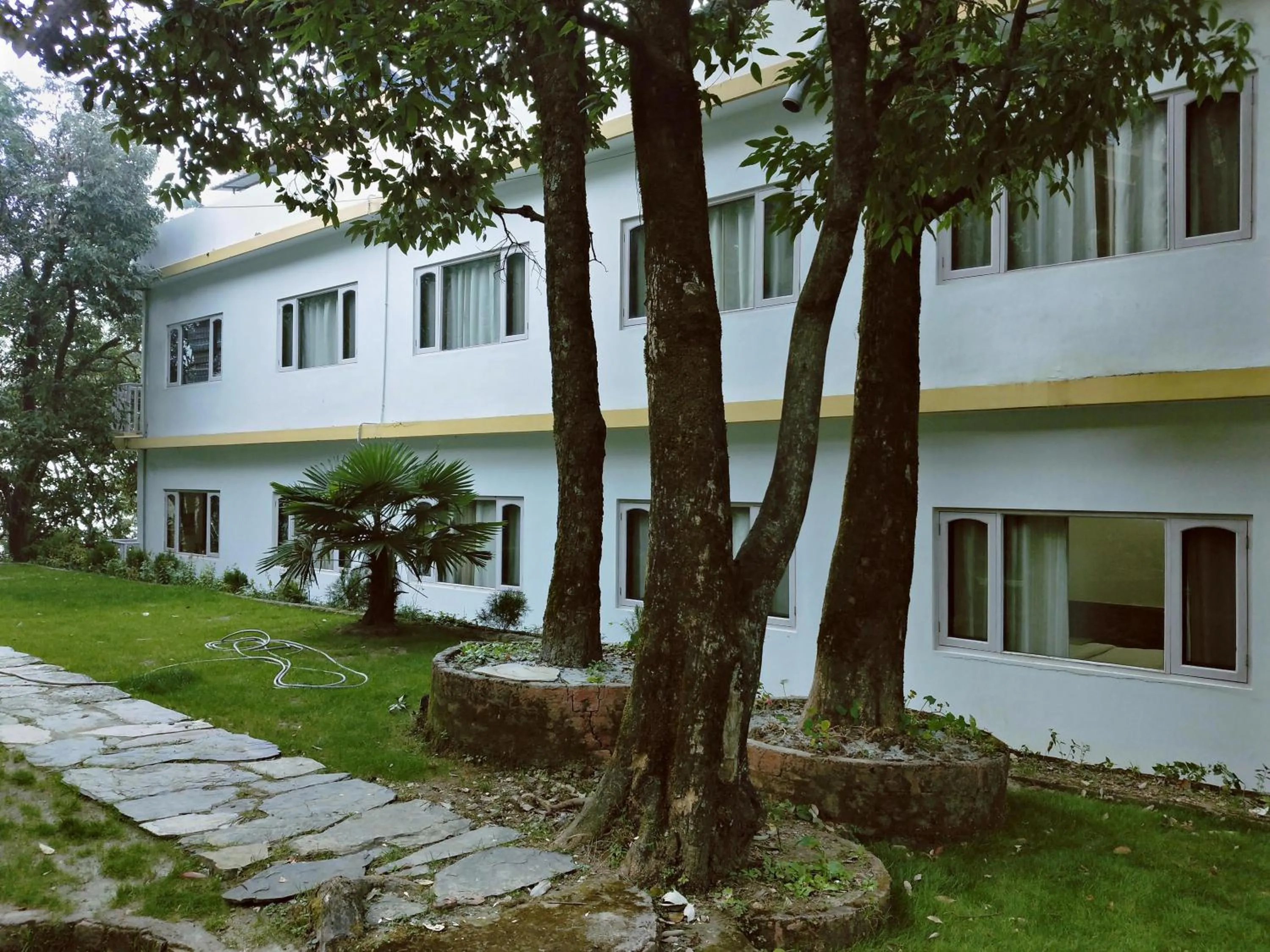 Garden in The Mountain Quail