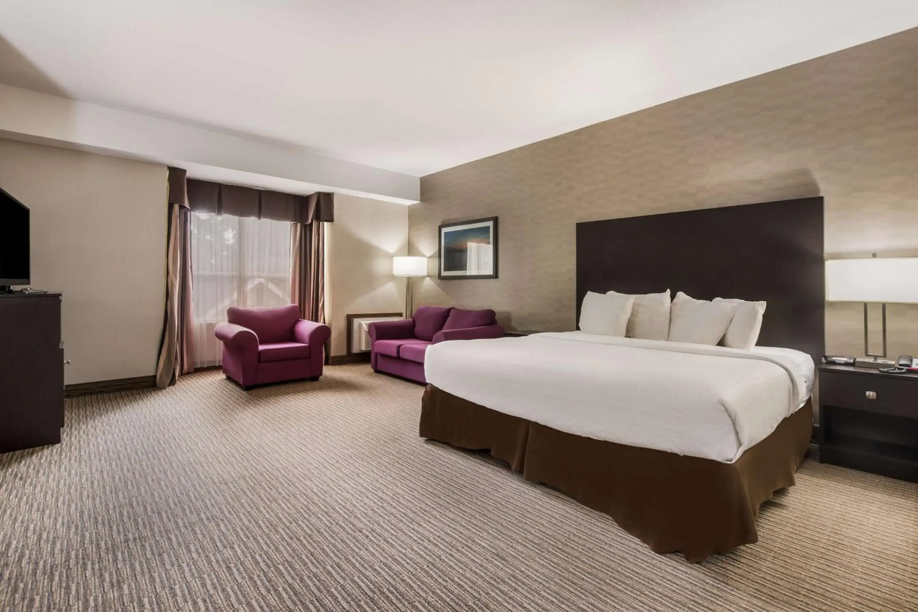 King Room with Sofa Bed - Non-Smoking in Best Western Little River Inn King Room with Sofa Bed - Non-Smoking in Best Western Little River Inn