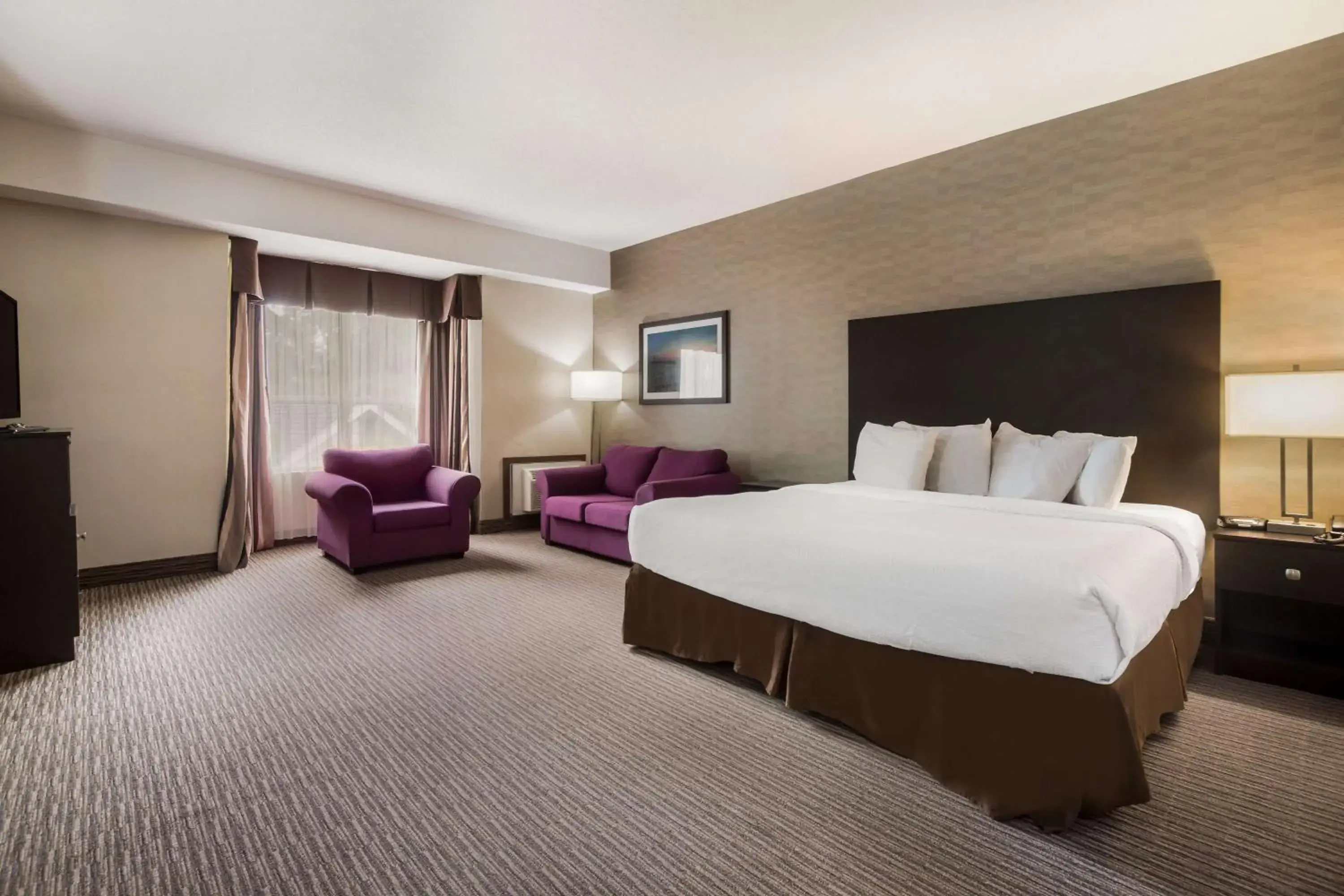 Business King Room - Non-Smoking in Best Western Little River Inn Business King Room - Non-Smoking in Best Western Little River Inn