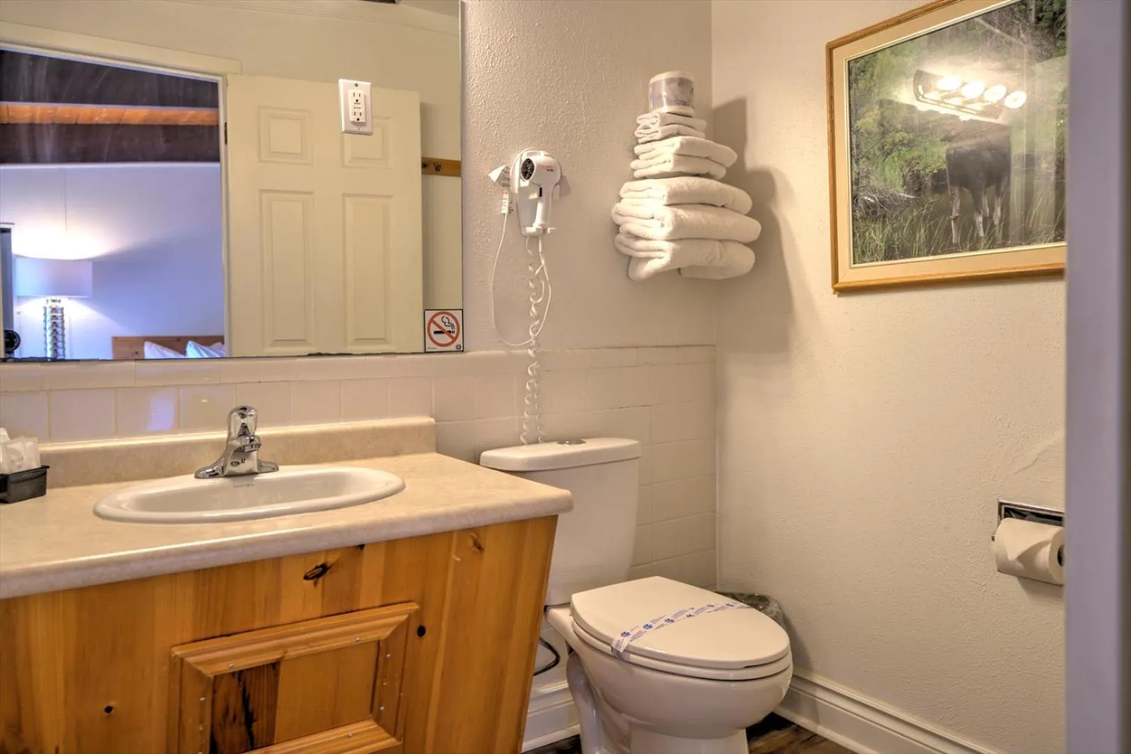 Shower in Lakeview Motel