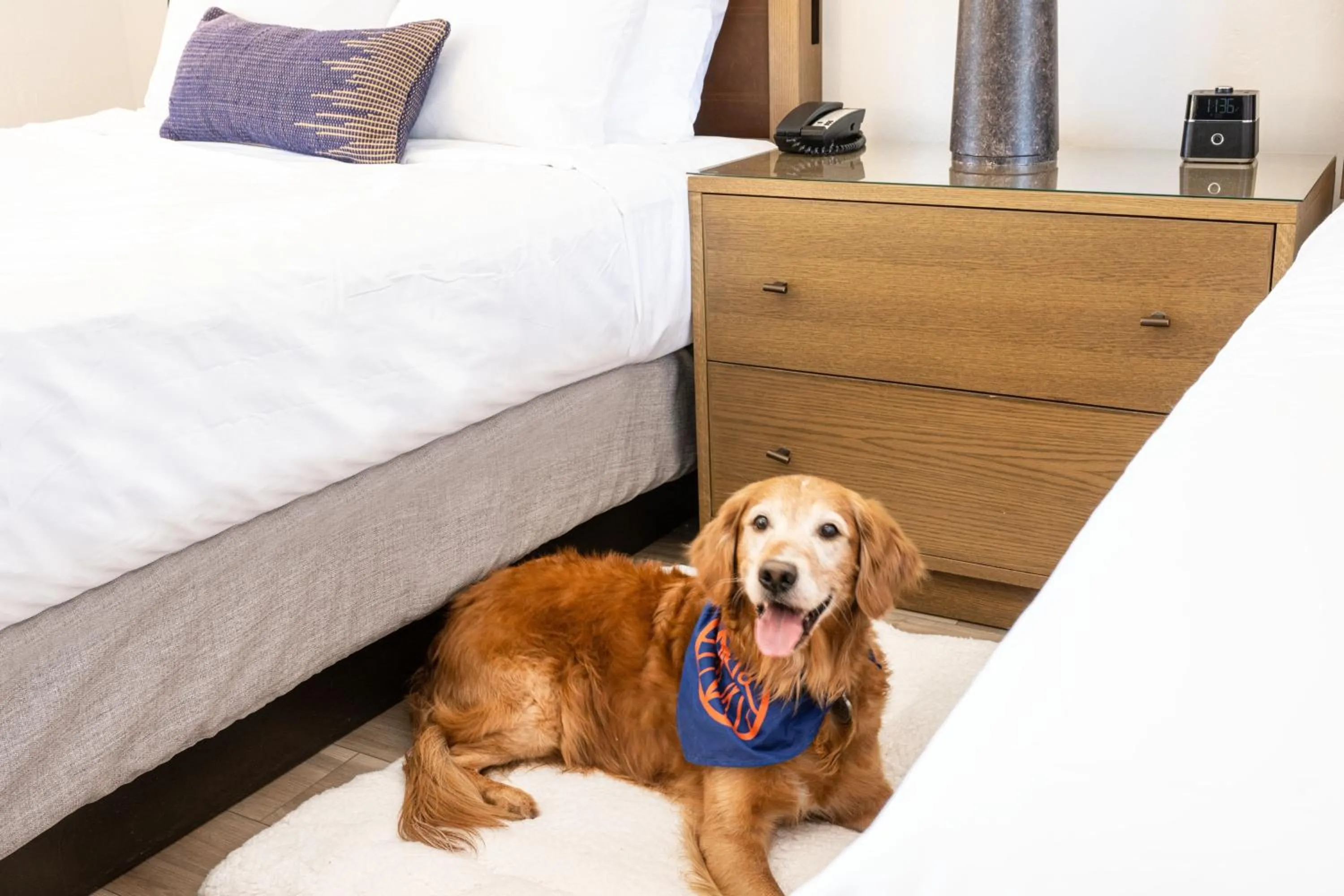 Other, Bed in Sky Rock Sedona, a Tribute Portfolio Hotel