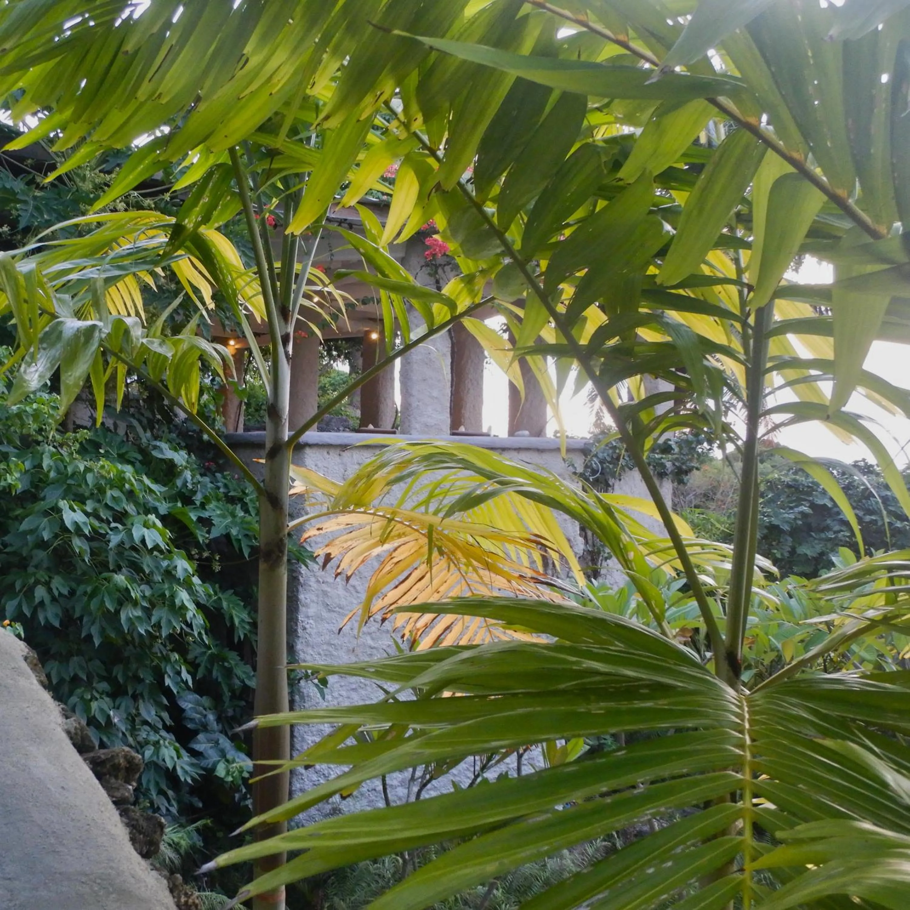 Restaurant/places to eat in Rockwater Resort