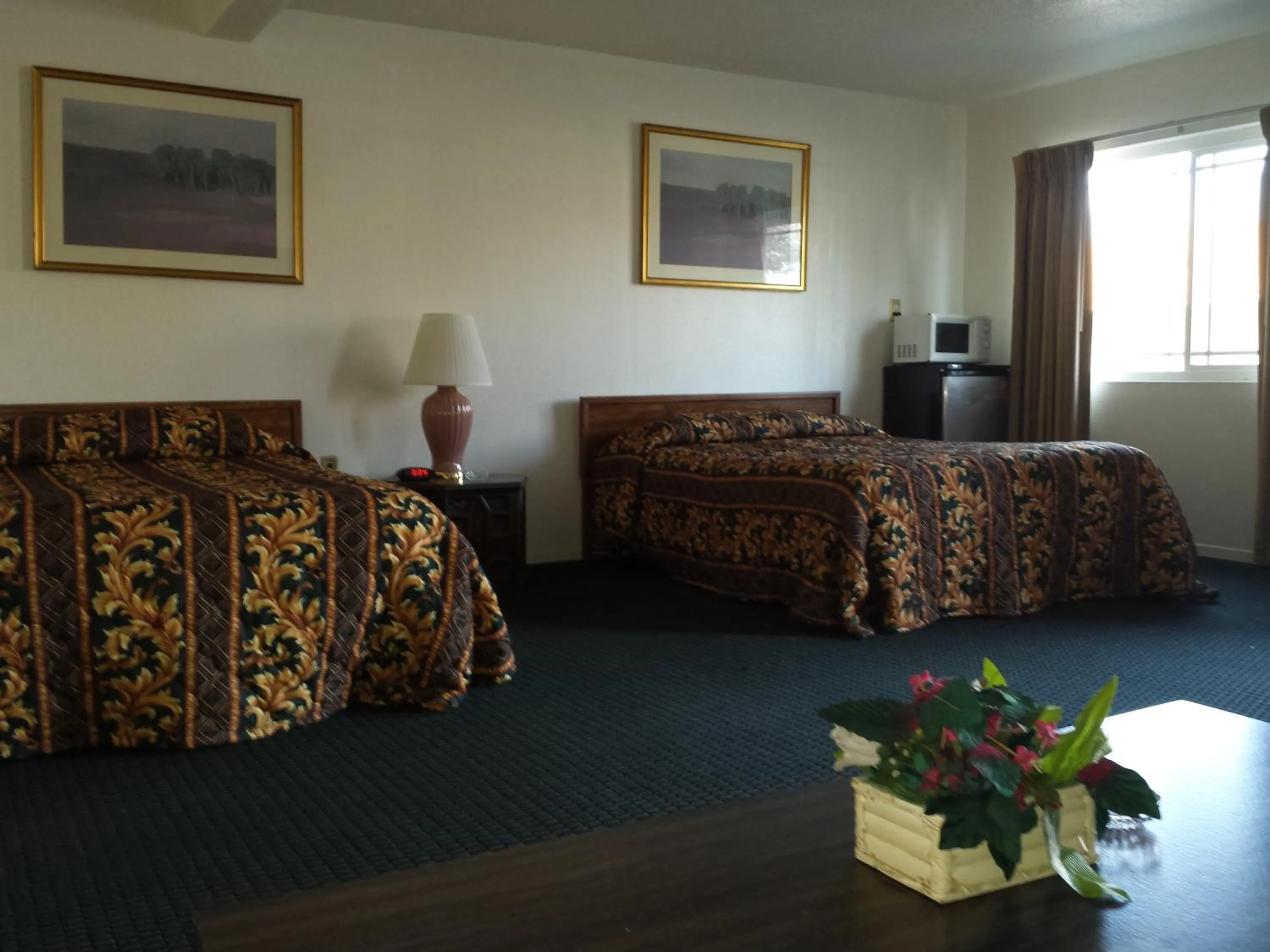 Day, Bed in New Kansan Motel
