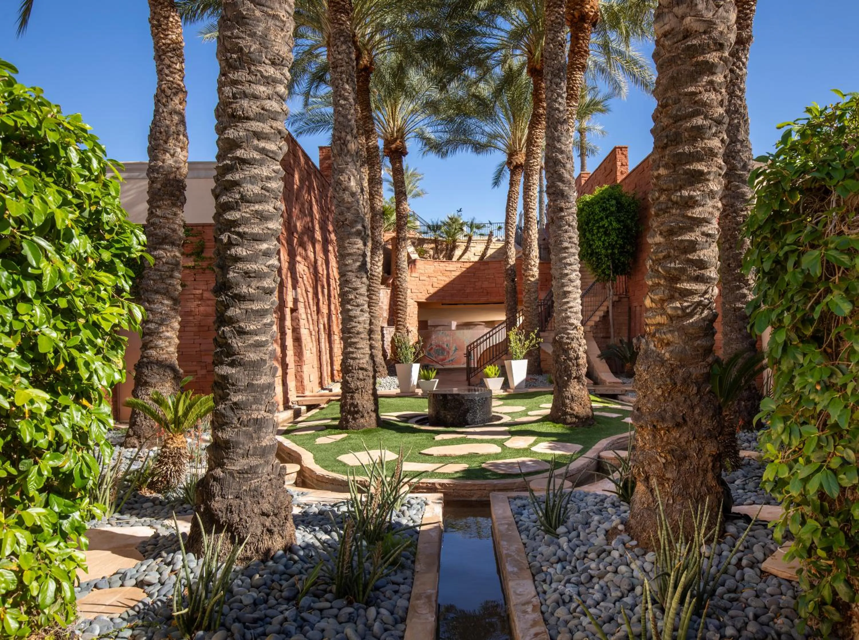 Garden in Fairmont Scottsdale Princess