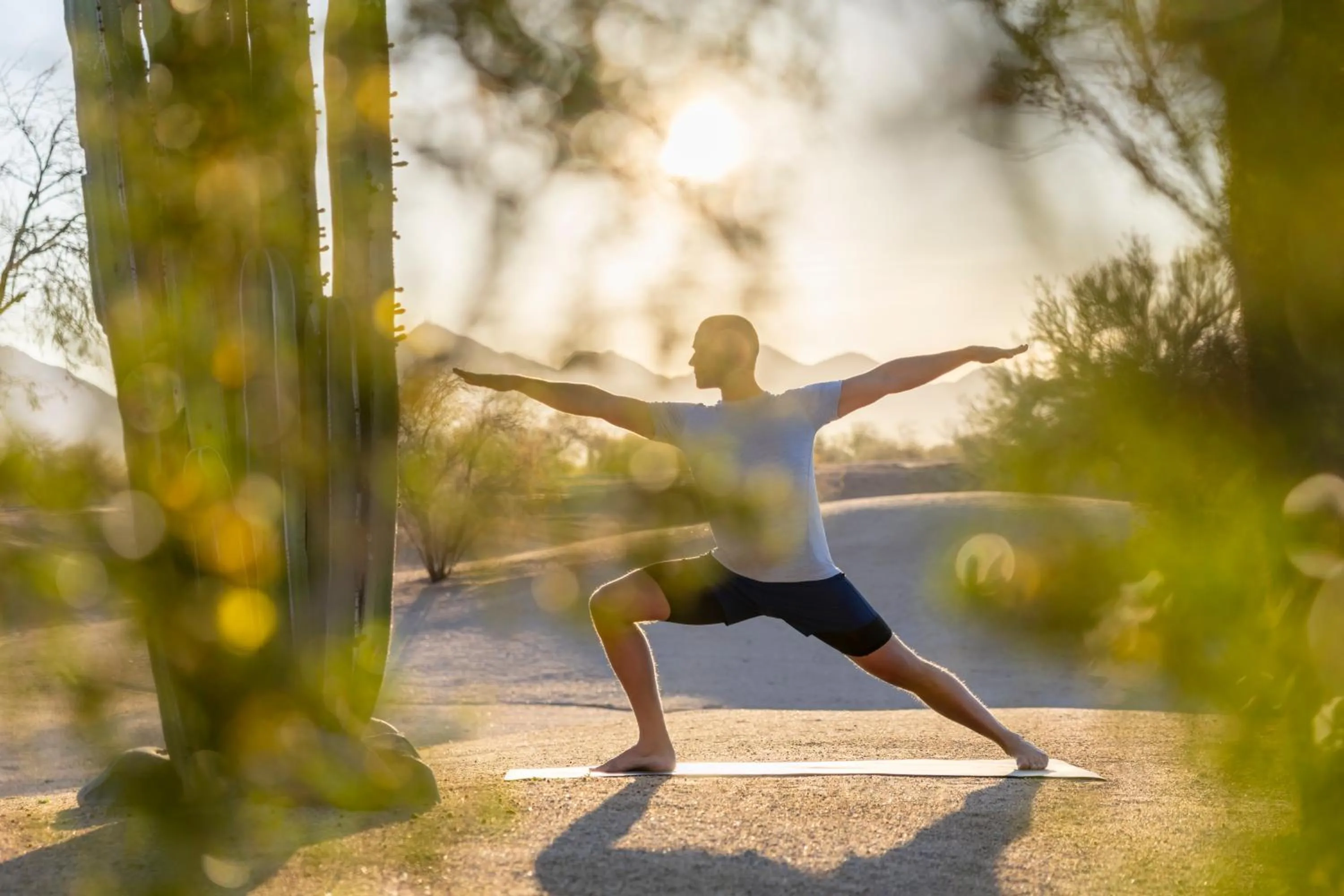 Natural landscape in Fairmont Scottsdale Princess