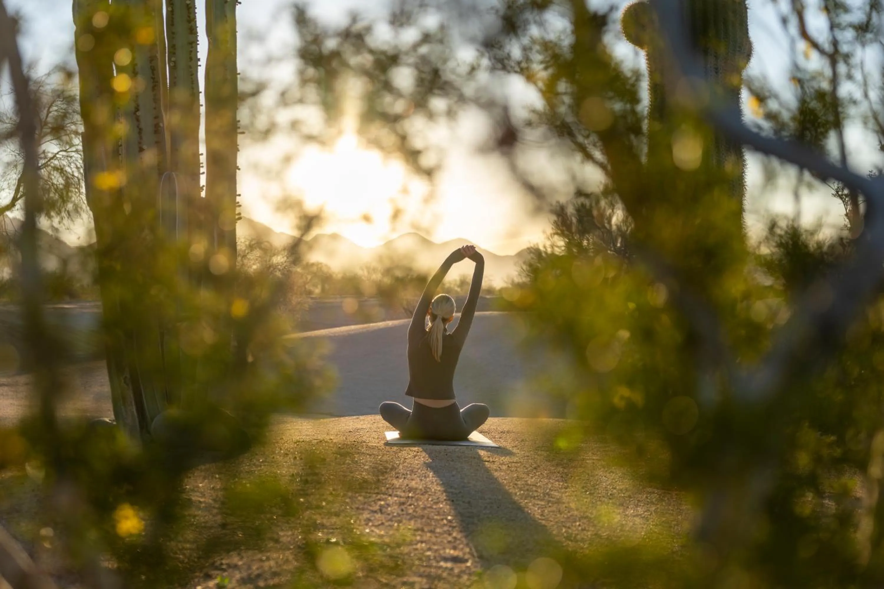 Garden in Fairmont Scottsdale Princess