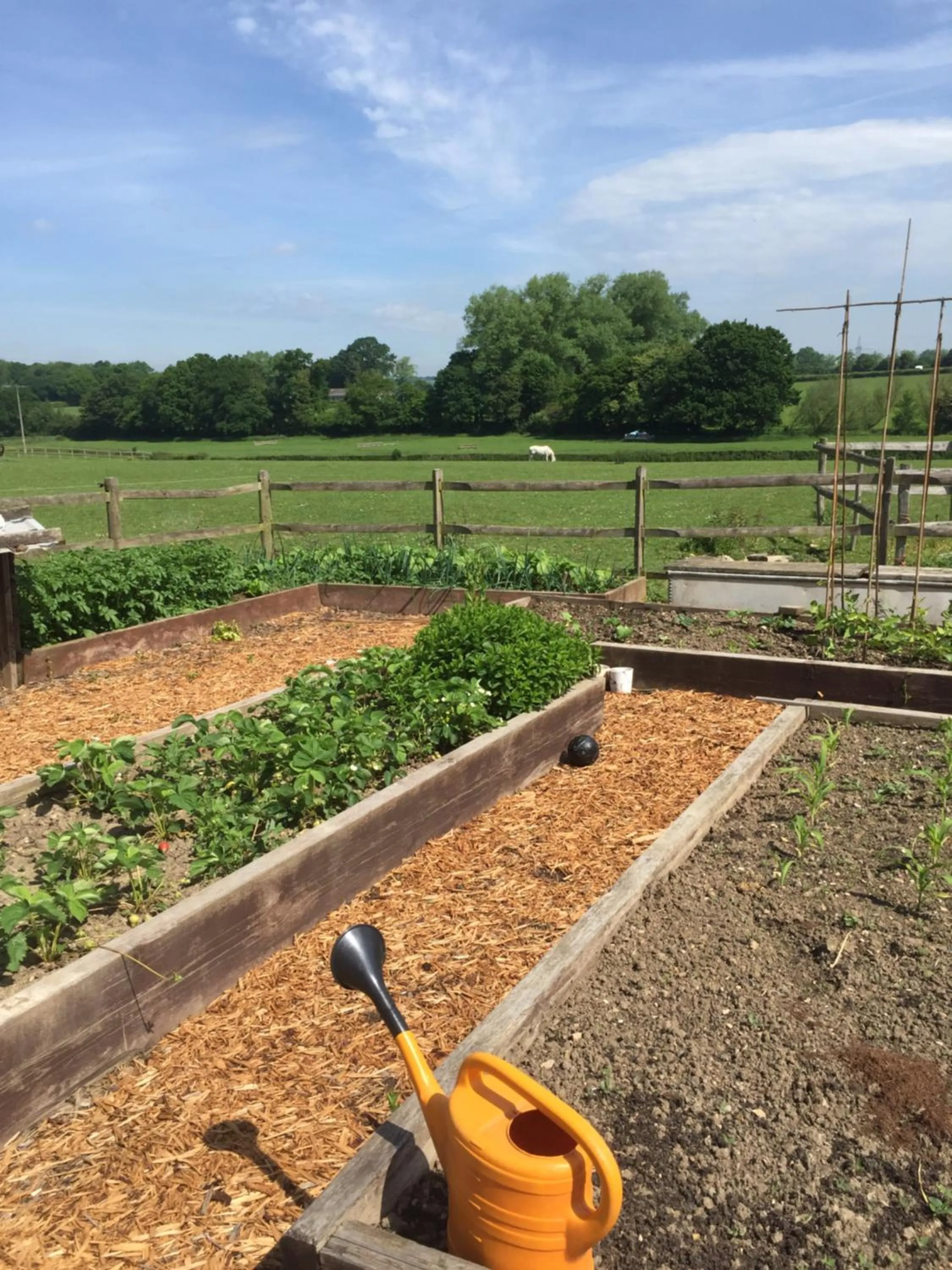 Garden in Barons Granary