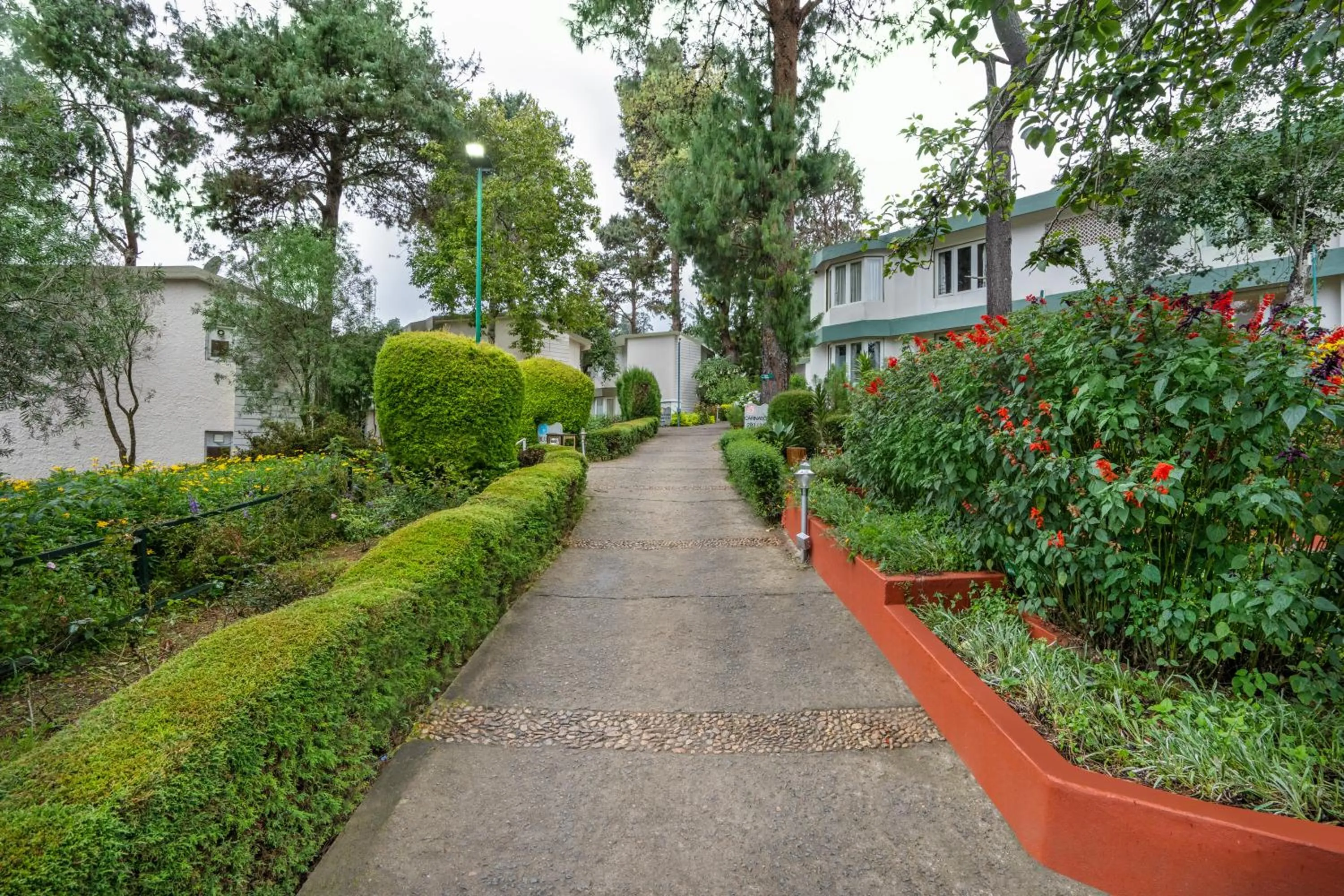 Garden in Sterling Kodai Lake