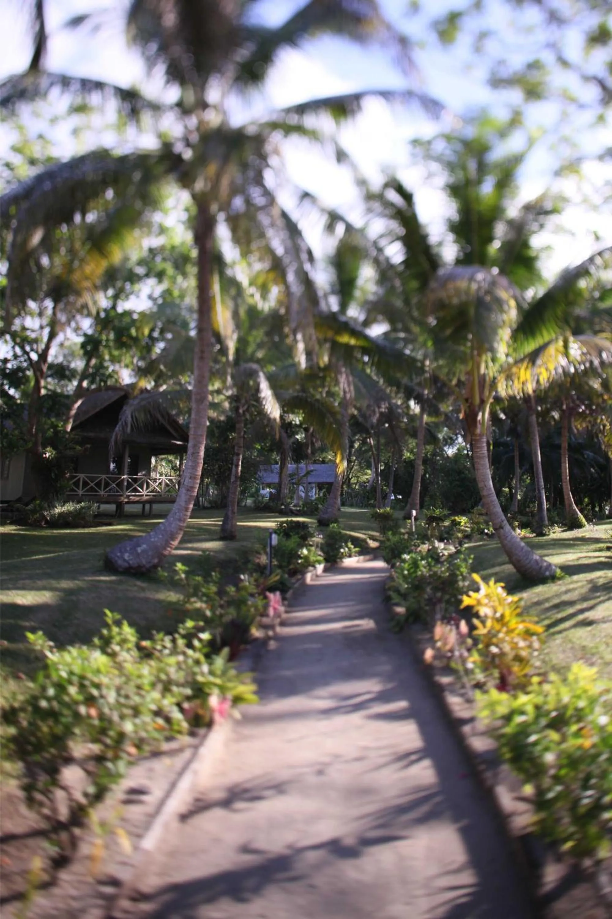 Garden in Aore Island Resort