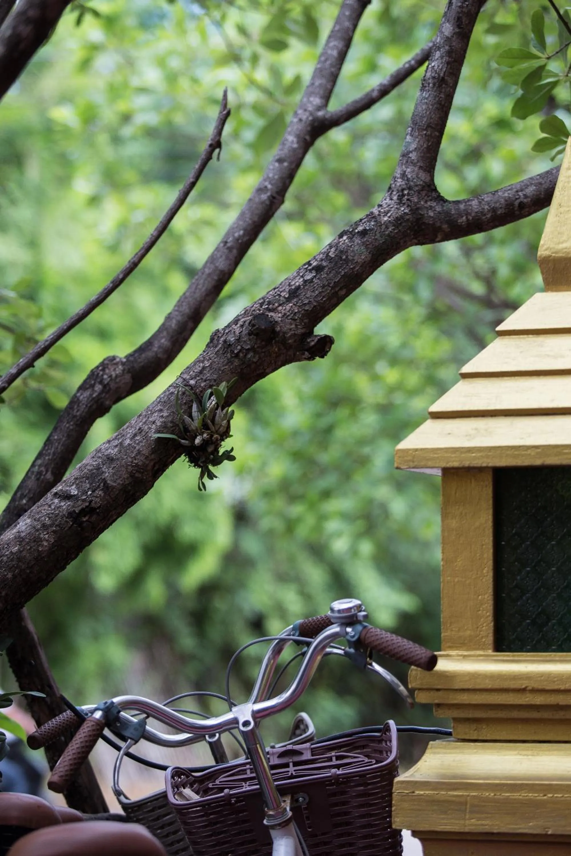 Other in Singha Montra Lanna Boutique Style Hotel