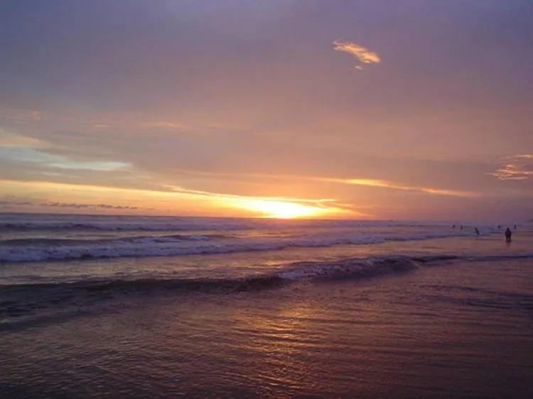 Beach in Casa de las Olas Surf & Beach Club