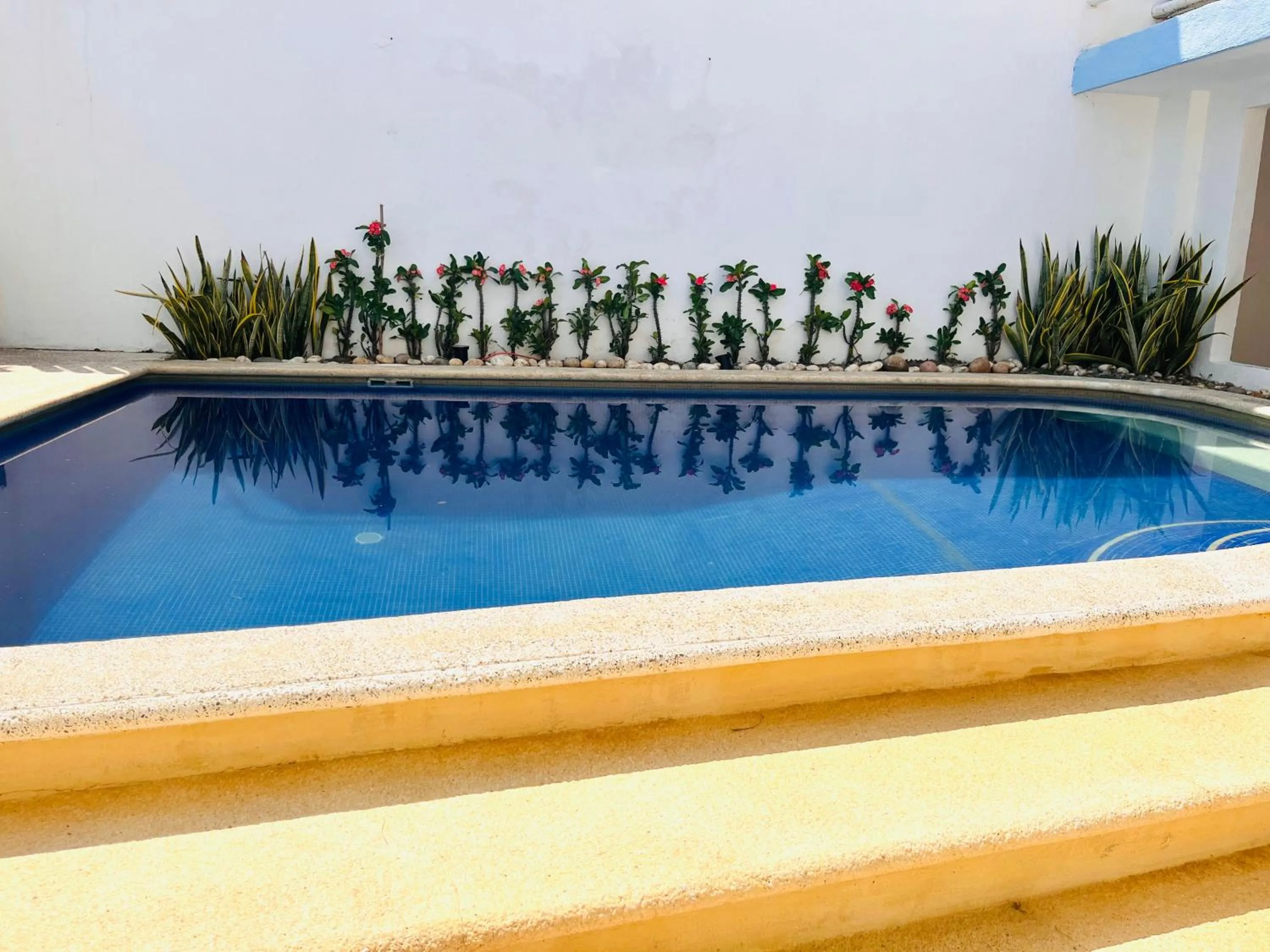 Swimming pool in Casa de las Olas Surf & Beach Club