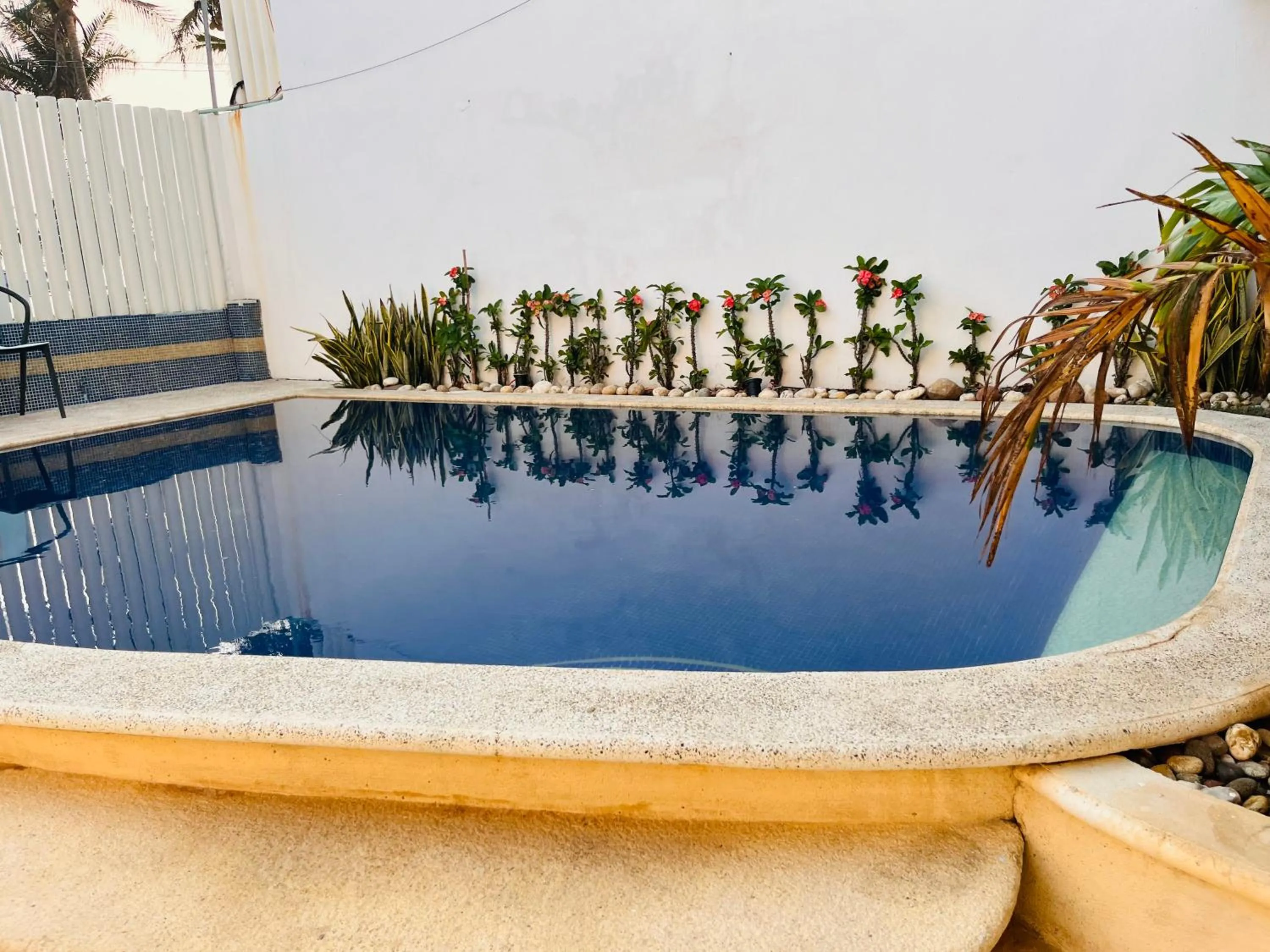 Swimming pool in Casa de las Olas Surf & Beach Club