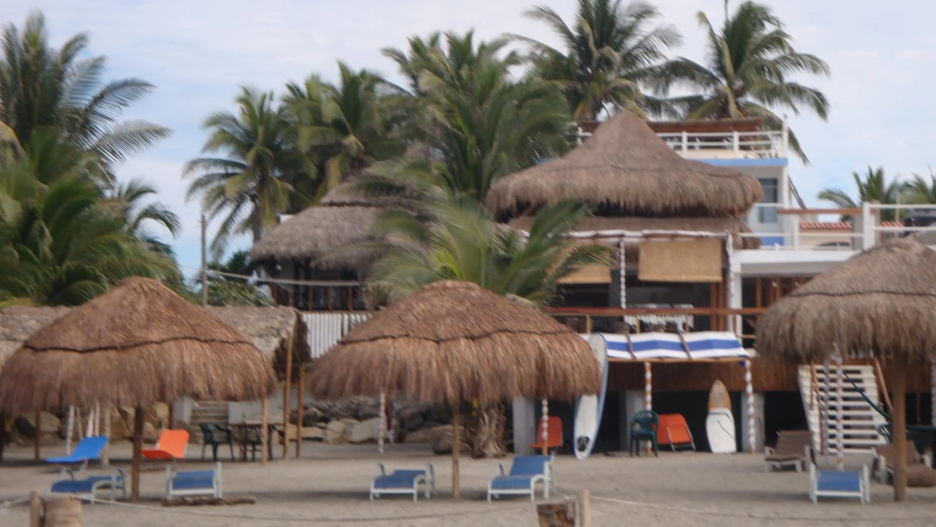 Restaurant/places to eat in Casa de las Olas Surf & Beach Club