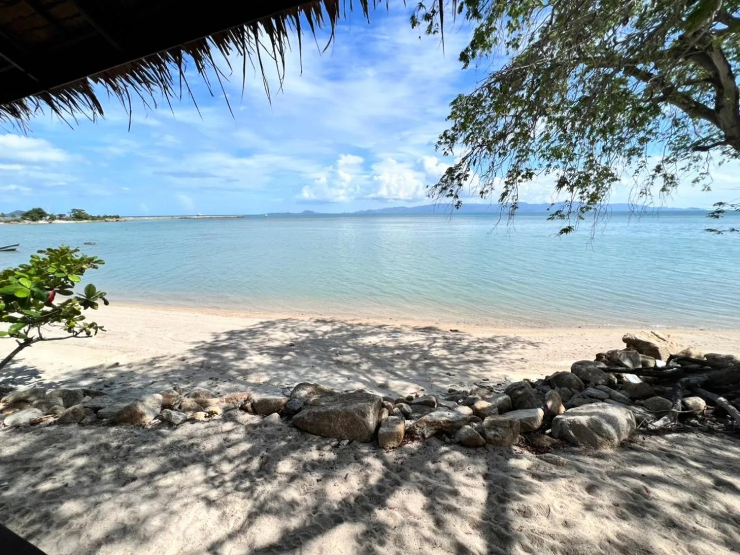 Beach in Absolute Beachfront Resort