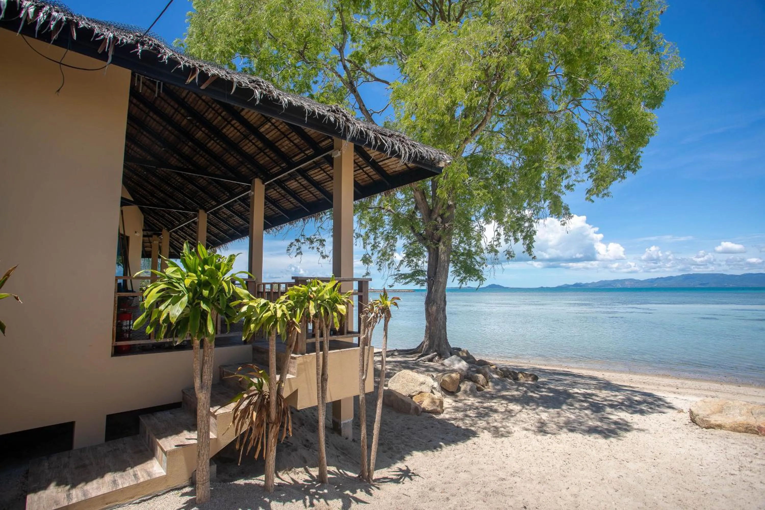 Balcony/Terrace in Absolute Beachfront Resort