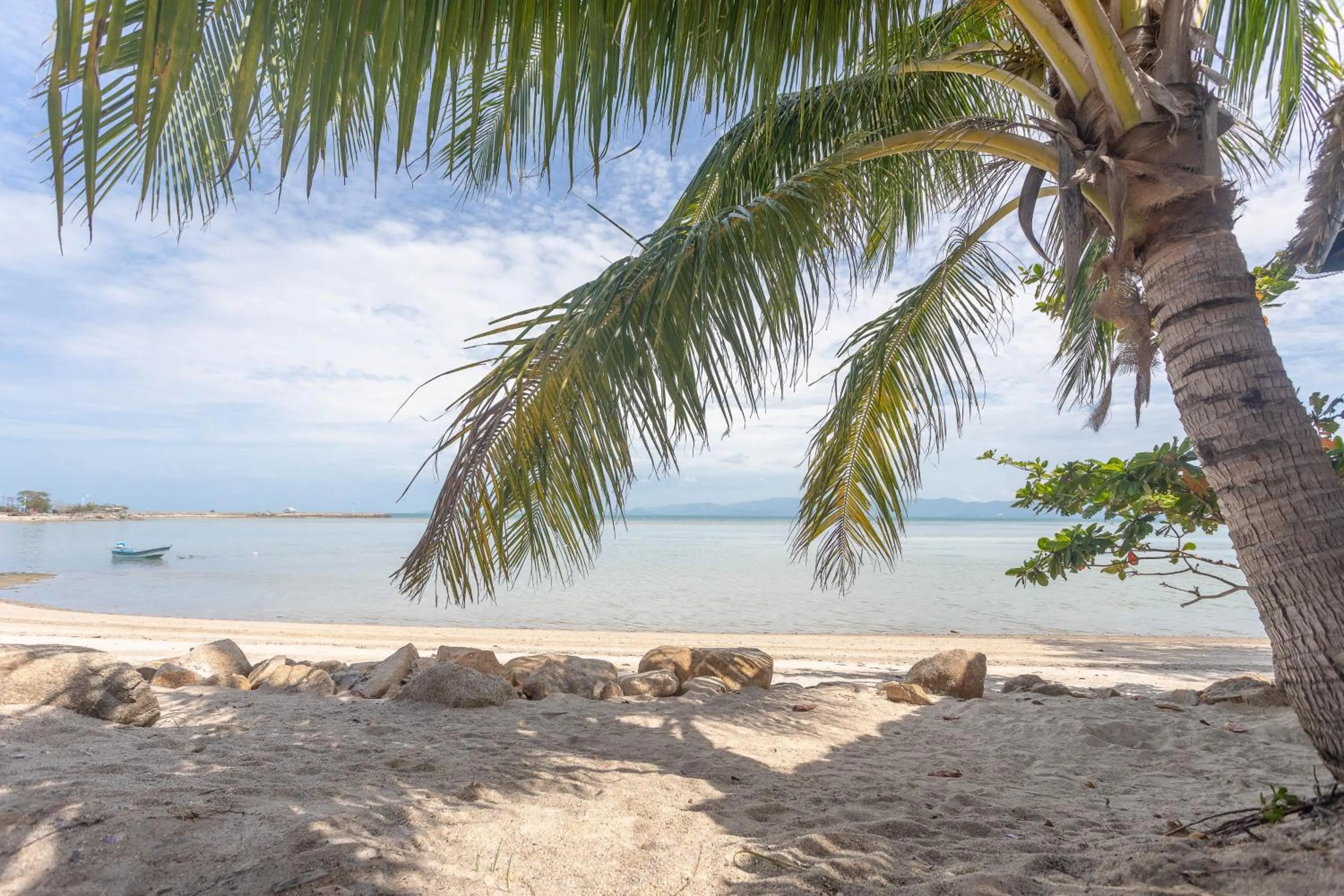 View (from property/room) in Absolute Beachfront Resort
