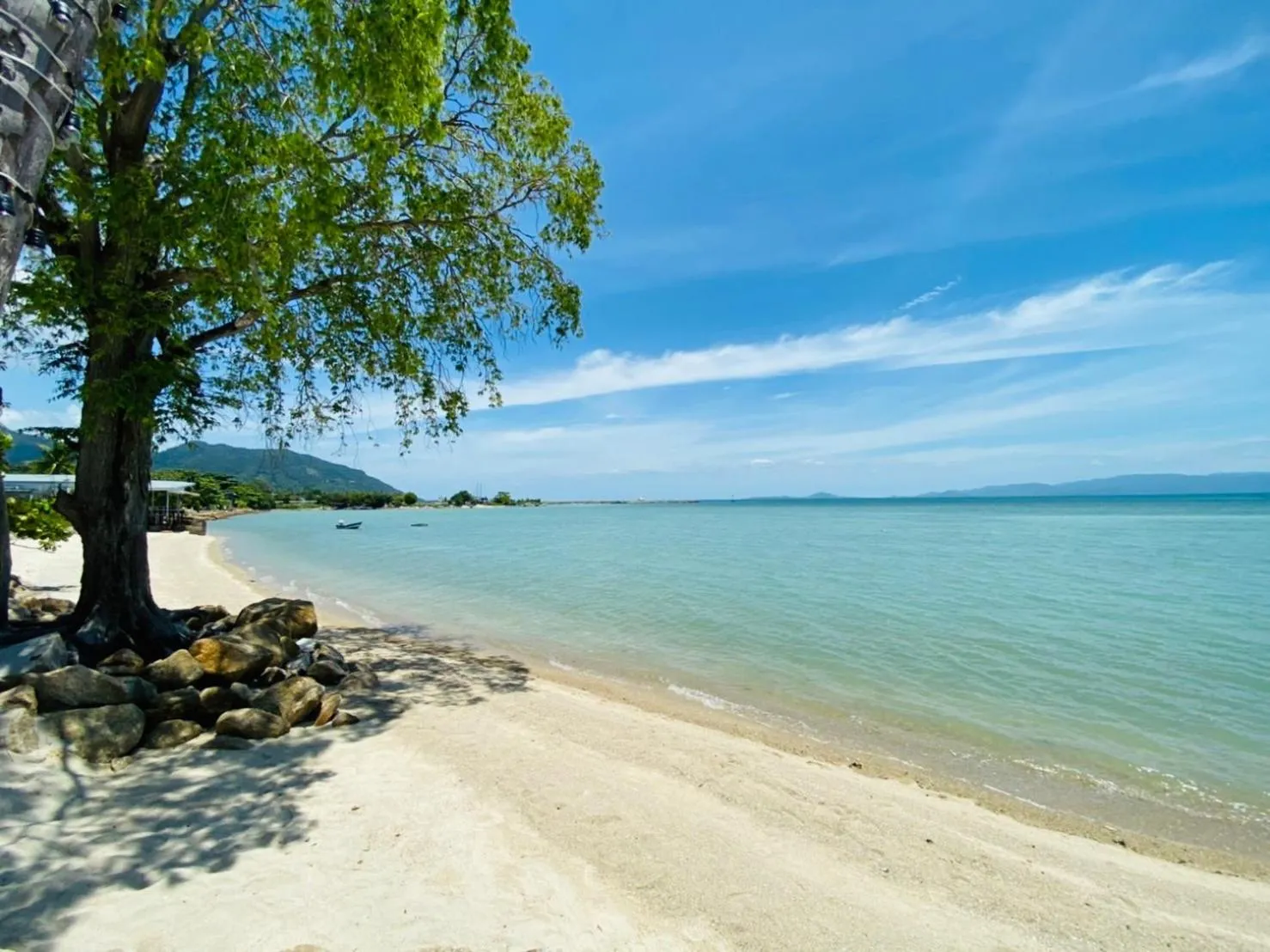 Beach in Absolute Beachfront Resort