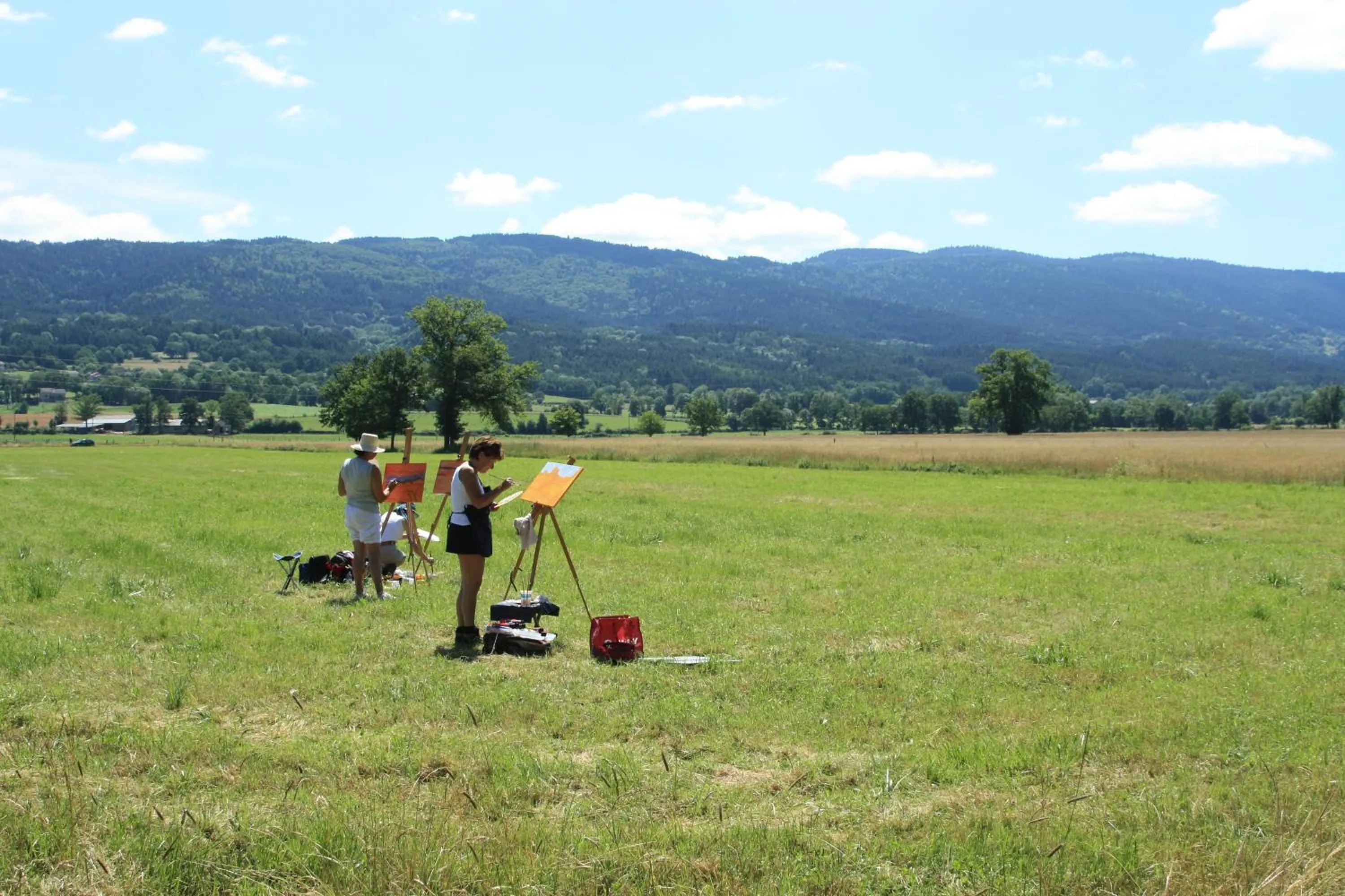 Area and facilities in Chambres d'Hôtes La Fougeraie